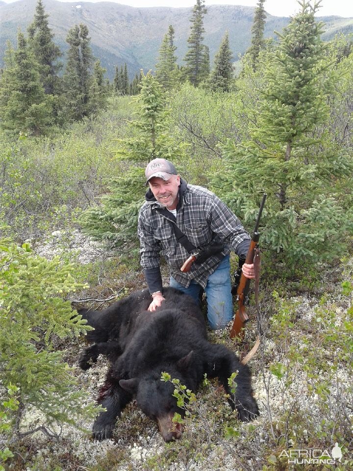Alaska USA Hunt Black Bear