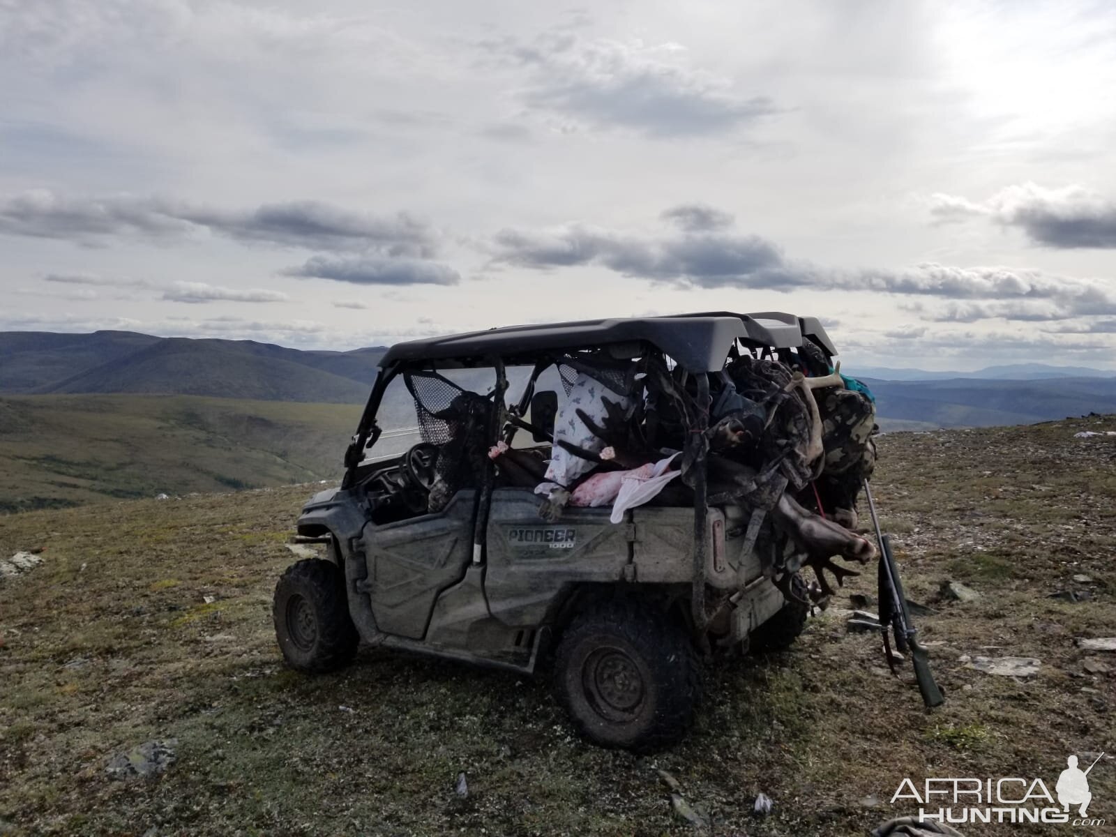 Alaska USA Hunt Caribou