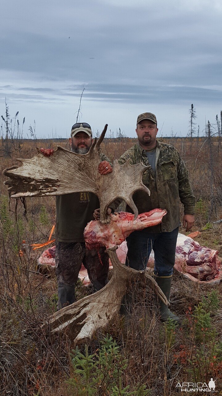 Alaskan Moose Hunt