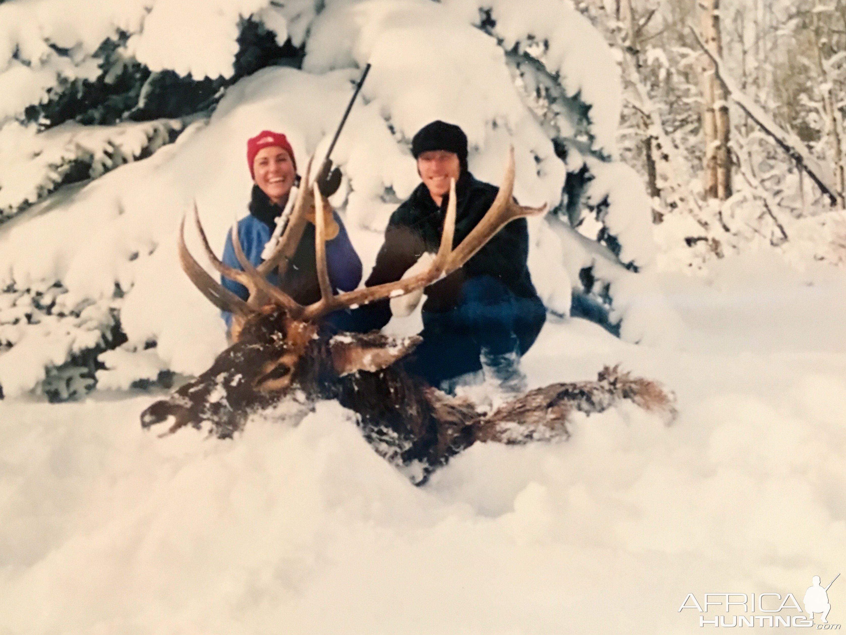 Alberta Elk Hunting