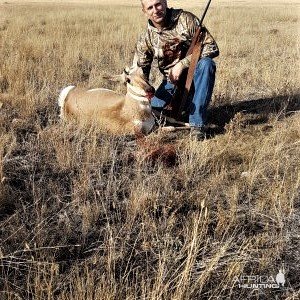 Alberta Pronghorn Hunt