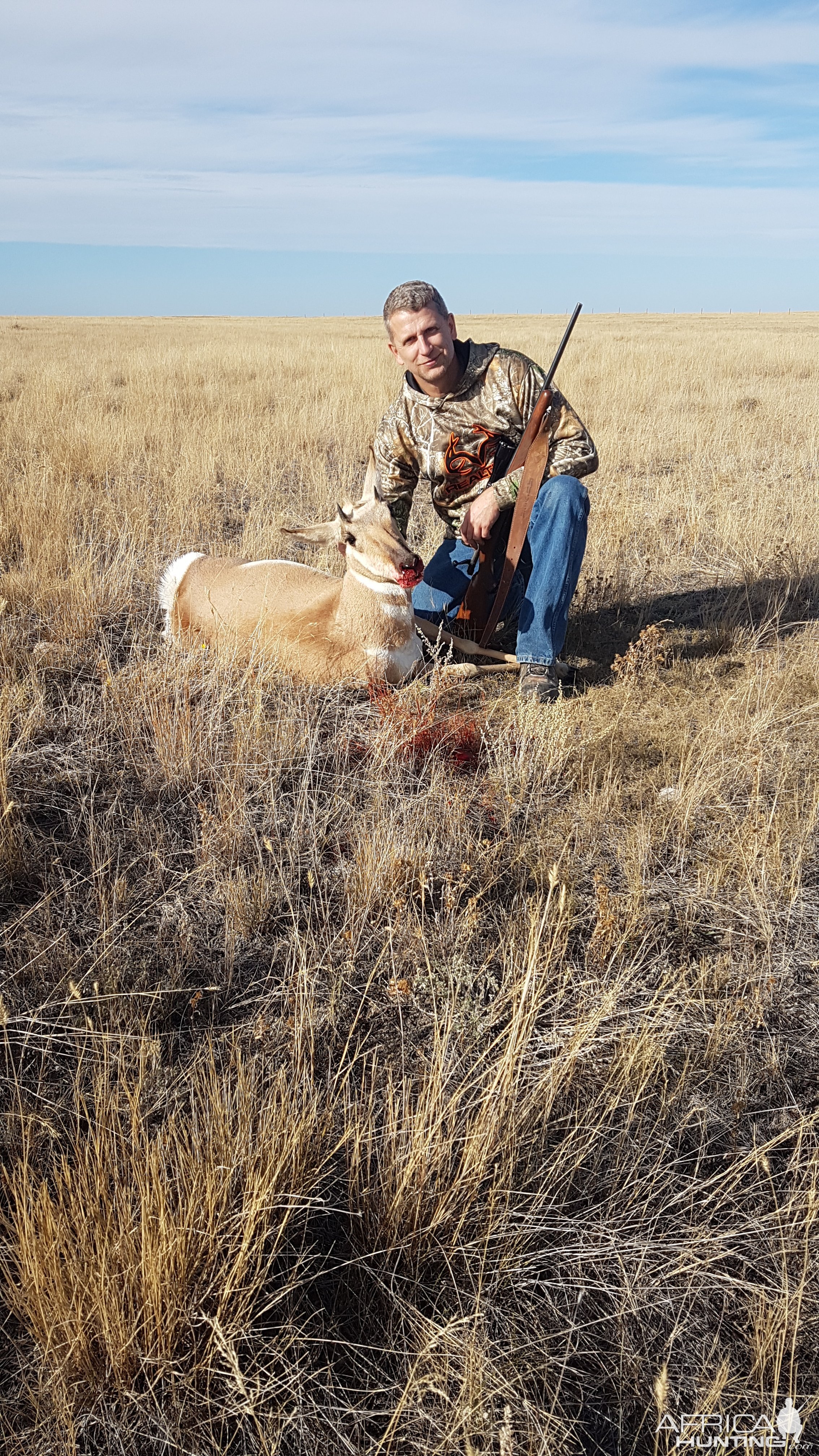 Alberta Pronghorn