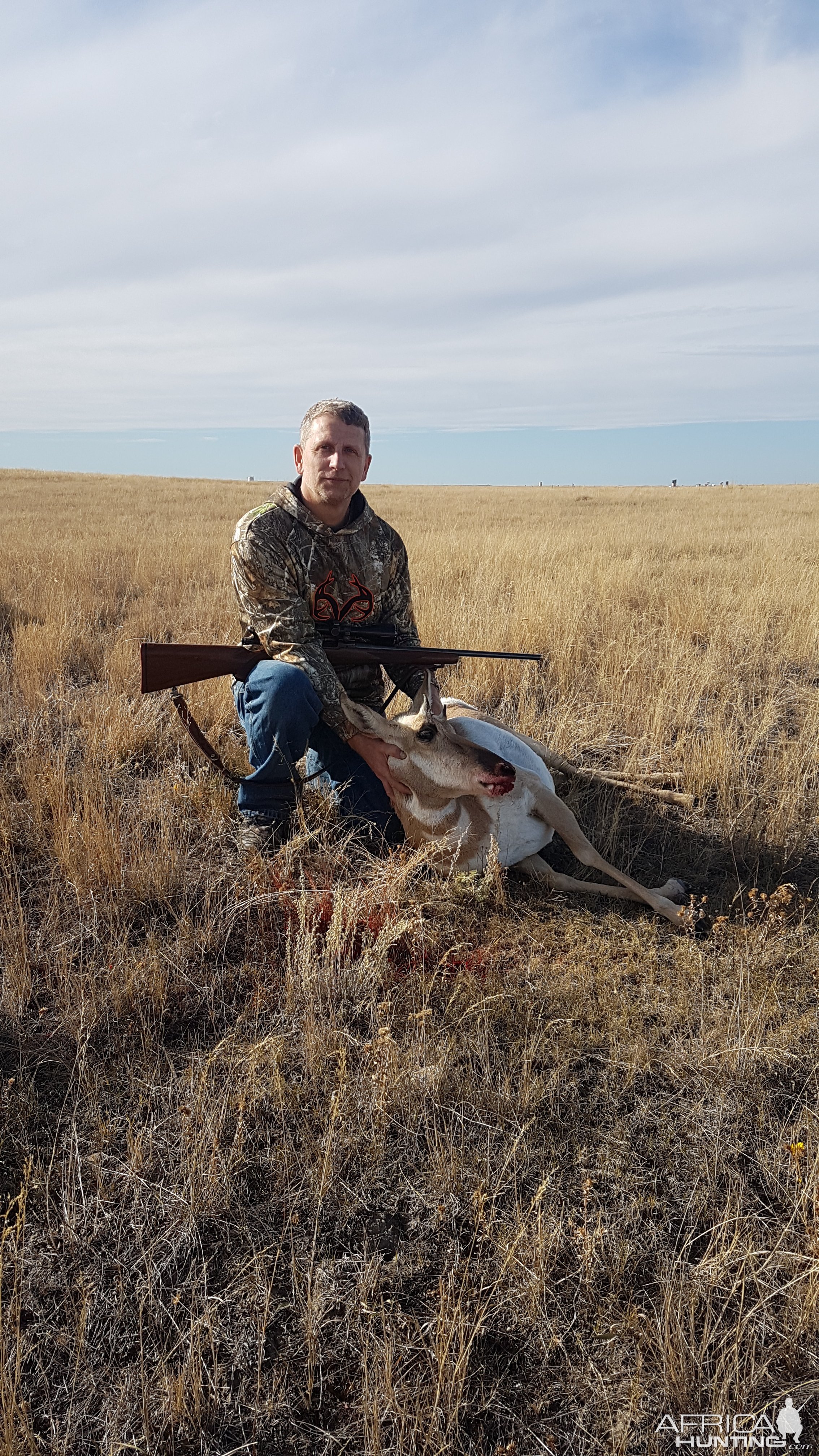 Alberta Pronghorn