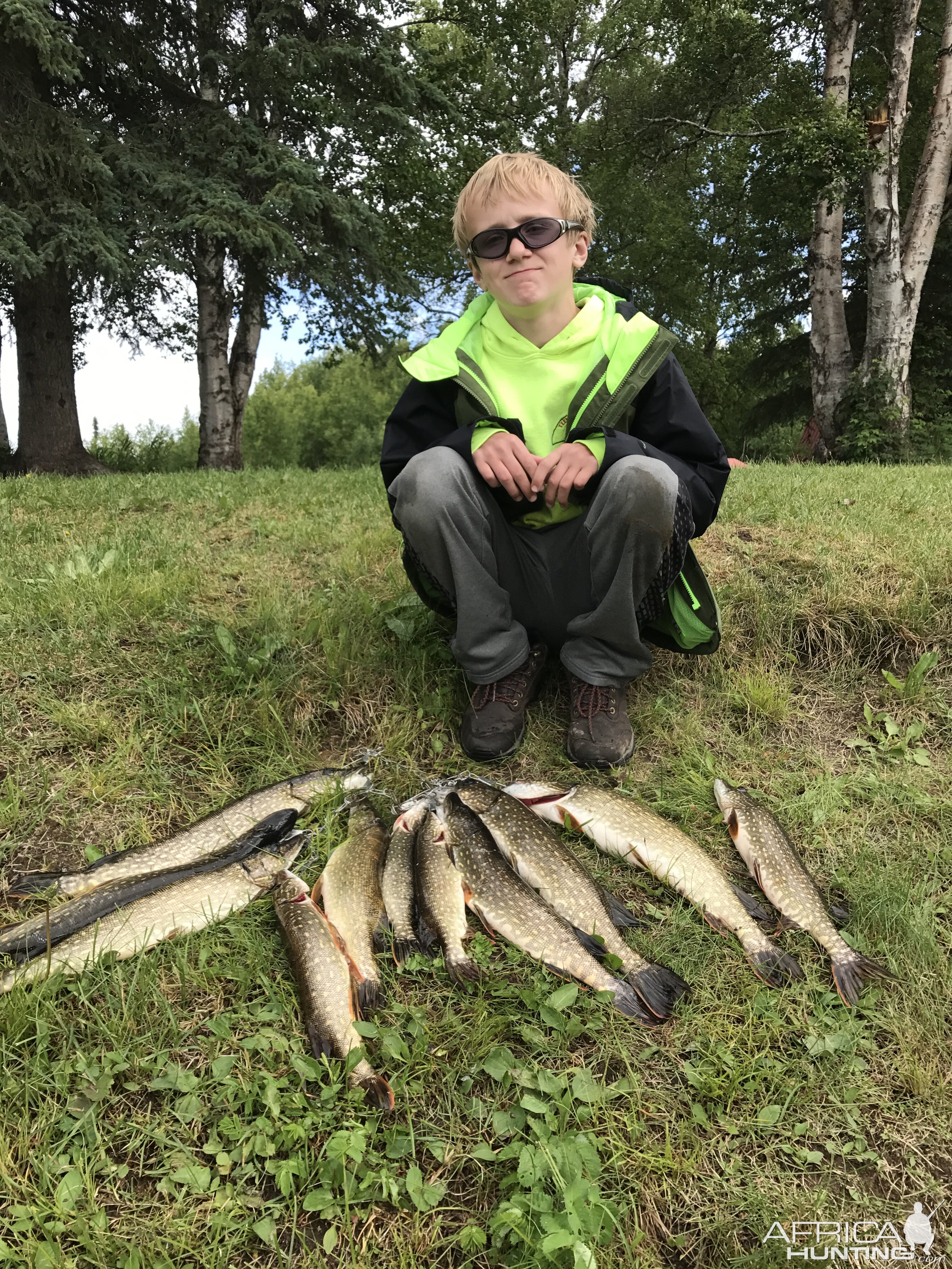 Alexander Lake Alaska Pike Fishing