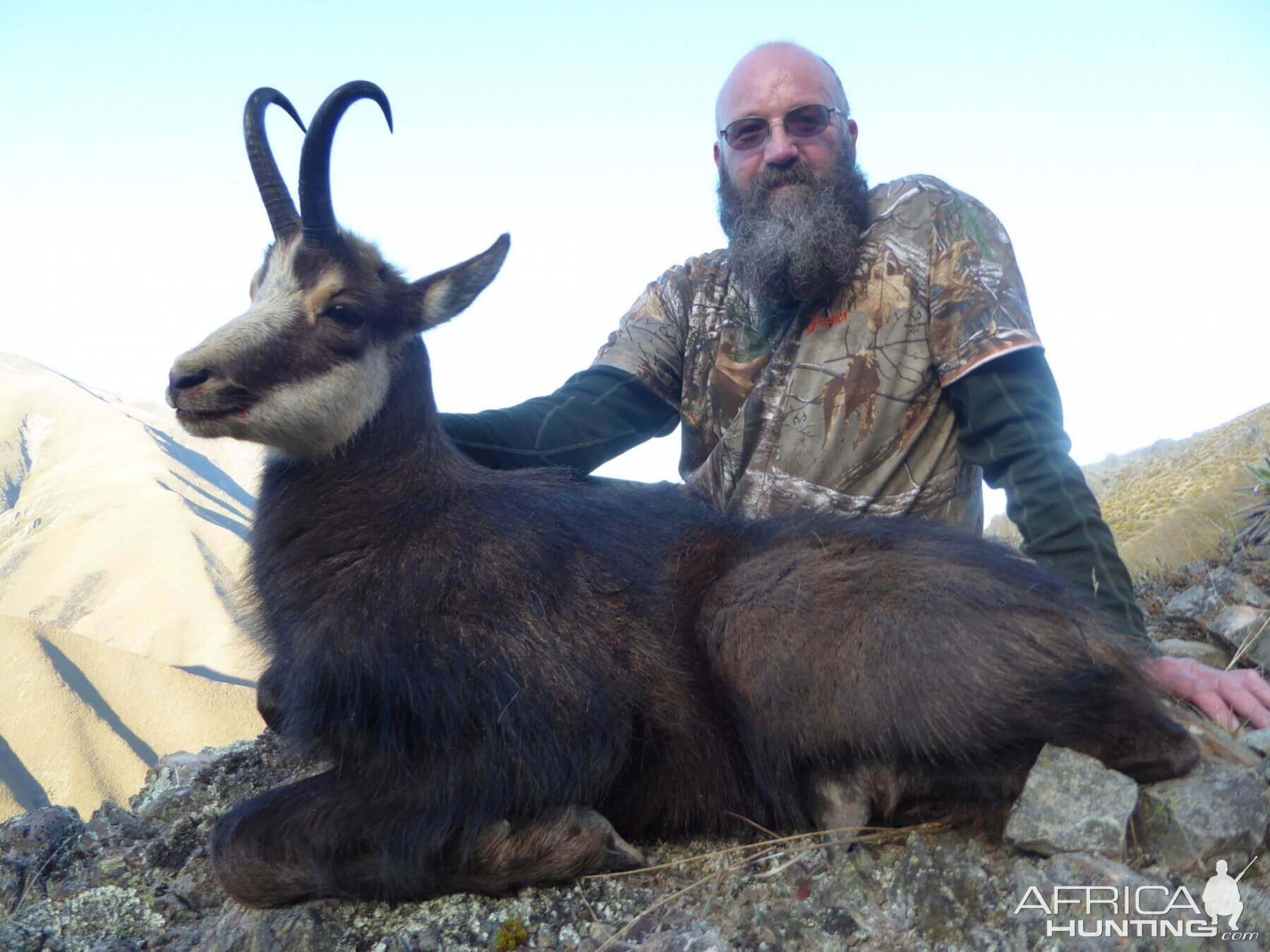 Alpine Chamois Hunt New Zealand