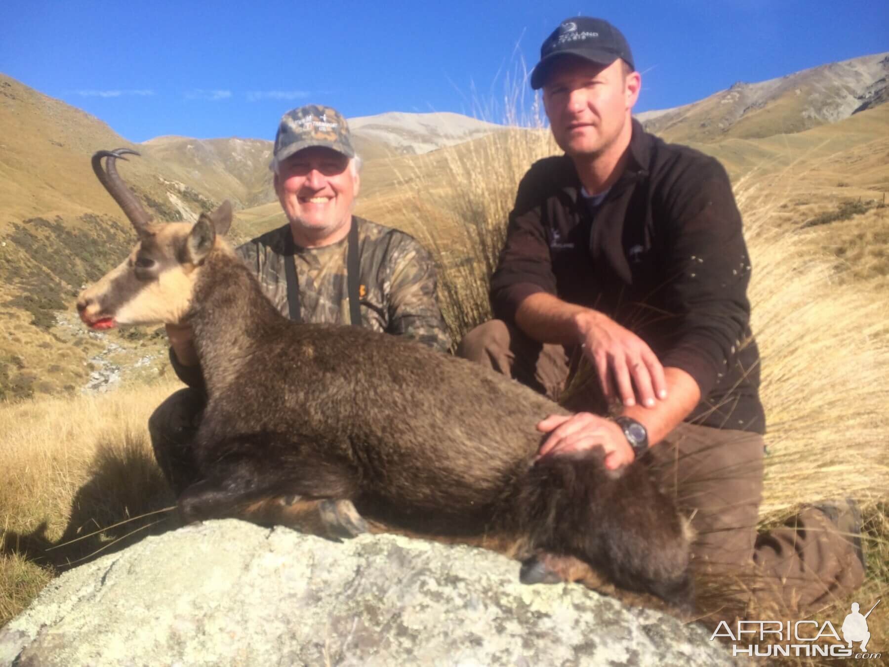 Alpine Chamois Hunting New Zealand