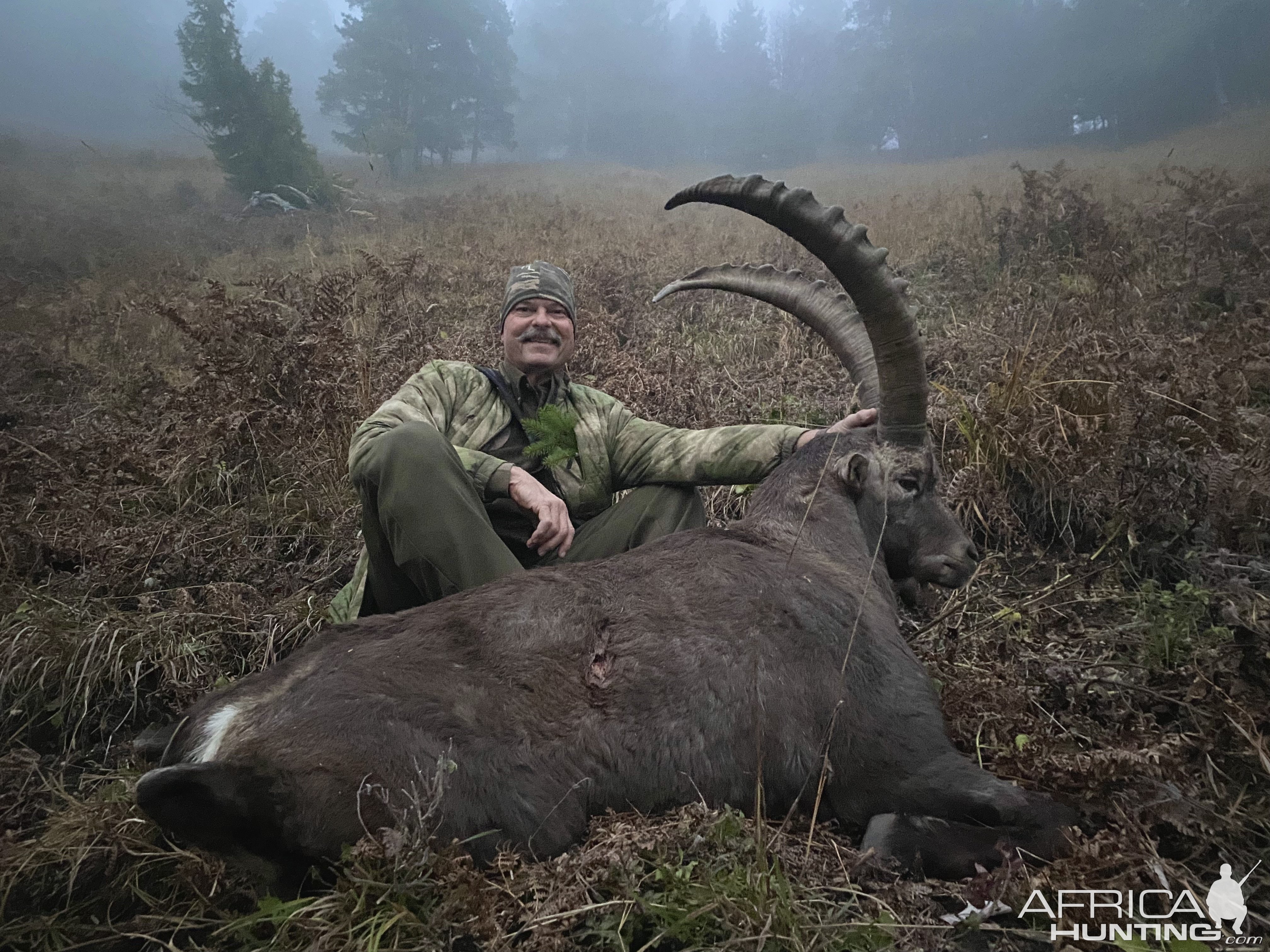 Alpine Ibex Hunt Austria