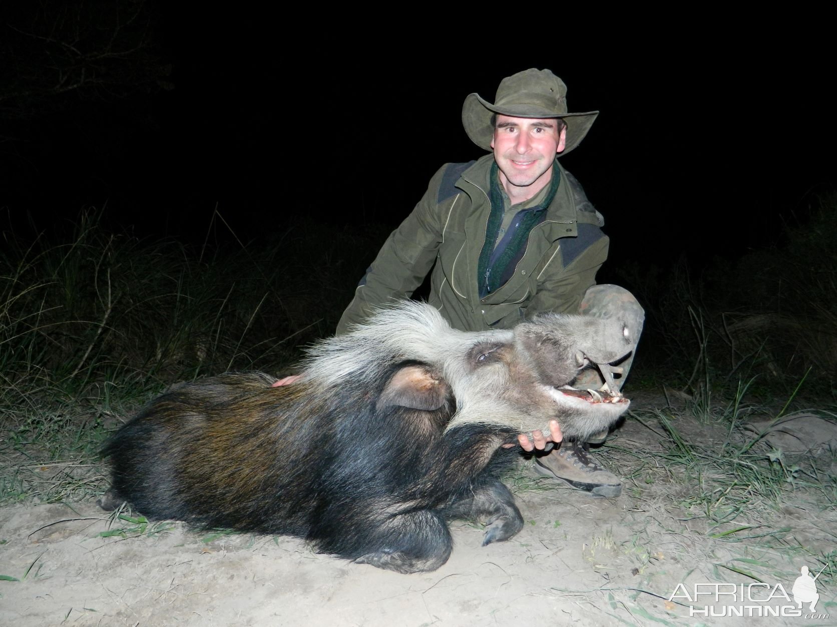 Amazing Bushpig Eastern Cape