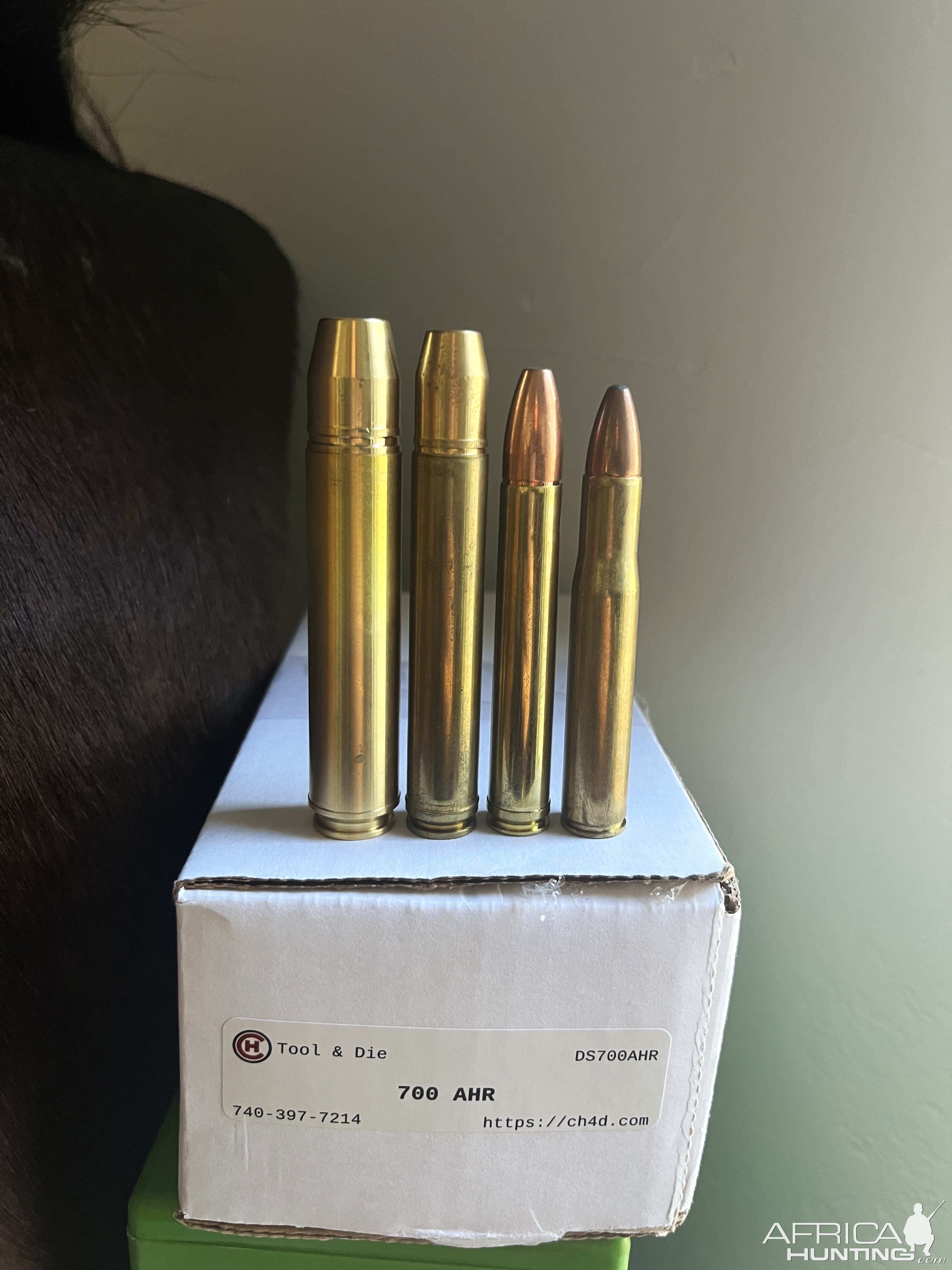 Ammunition Cartridges