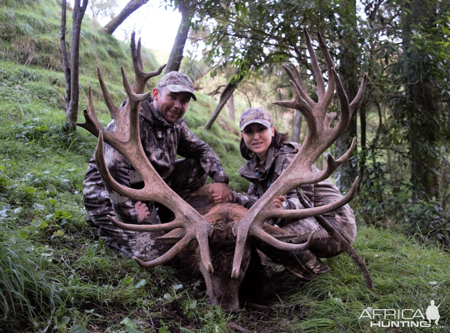 Ample Hunting, NZ