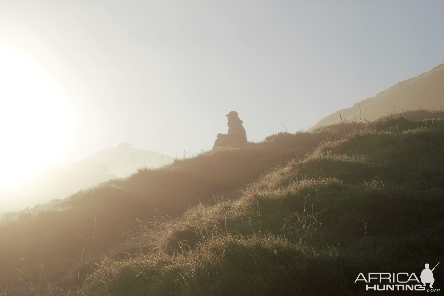 Ample Hunting, NZ