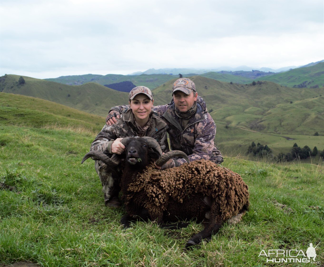 Ample Hunting, NZ