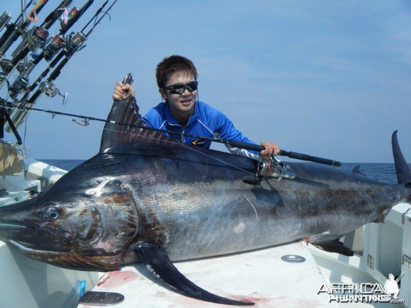 Andaman Black Marlin