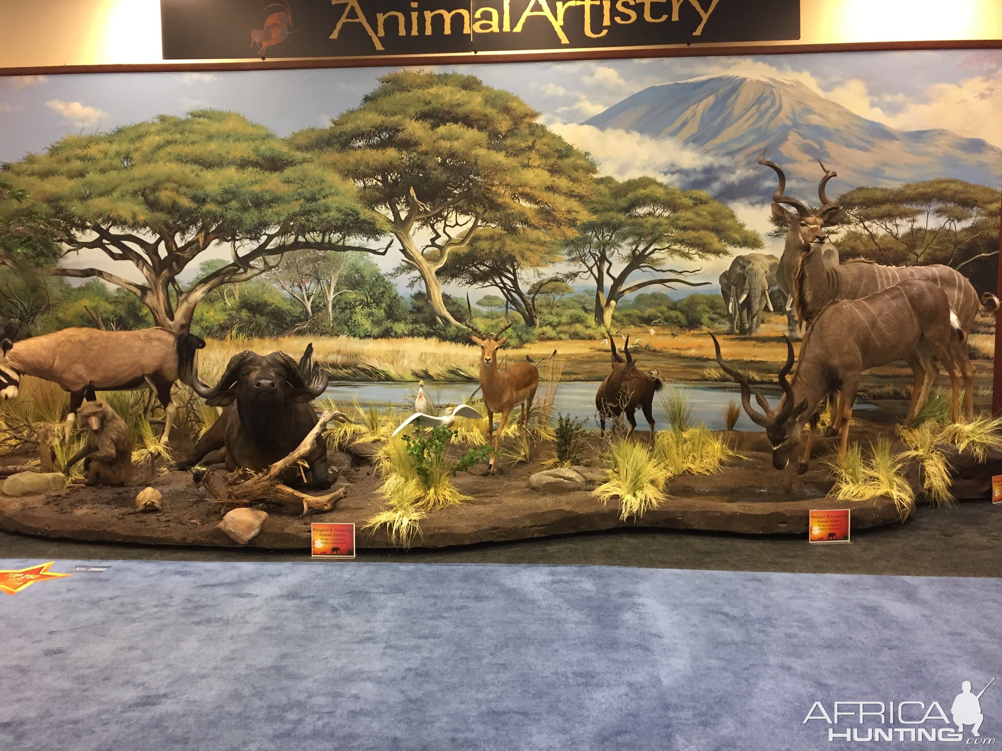 Animal Artistry at Safari Club Convention 2020