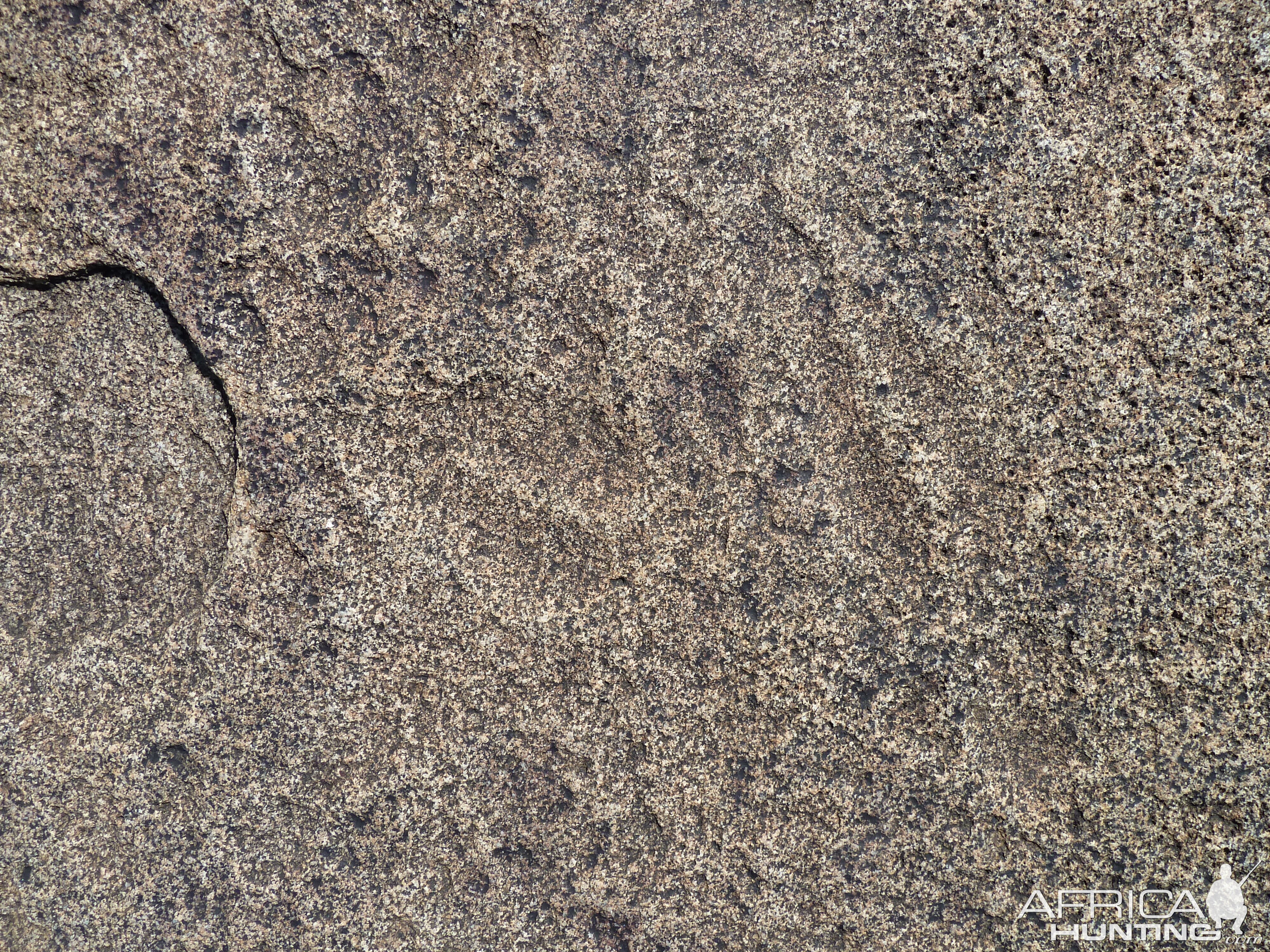 Animal tracks in the rock in Namibia