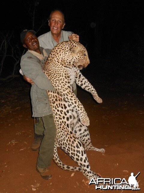 Another Great Cat for Spear Safaris