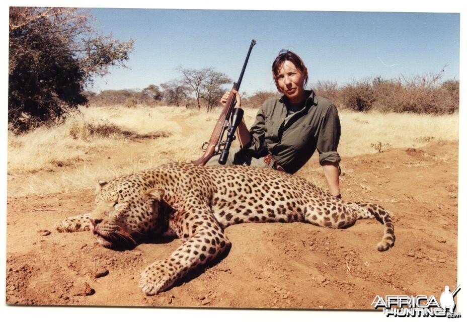 Another very large Namibian Leopard Tracked by Sparks Hounds