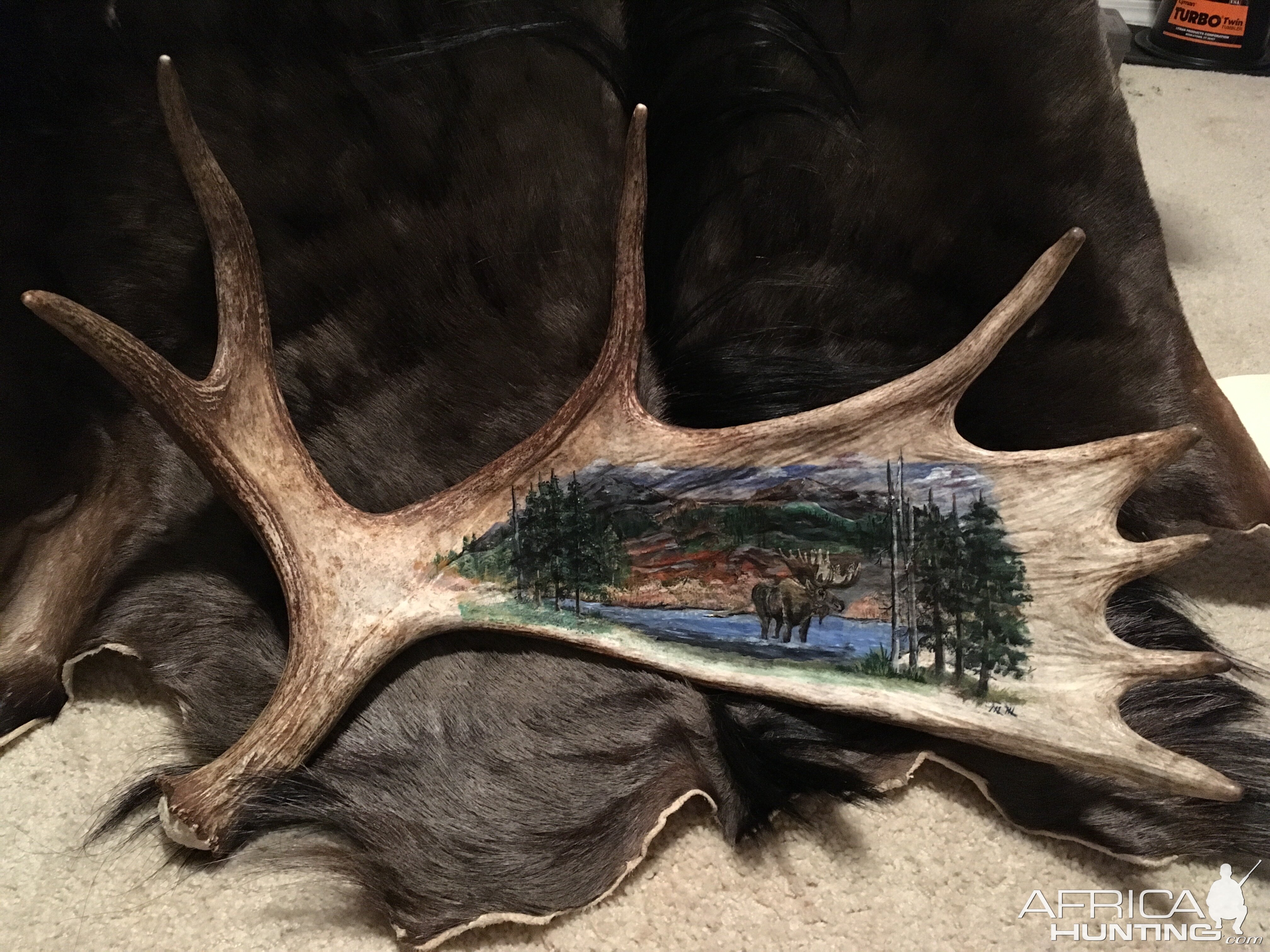 Antler Art - Bone Canvas