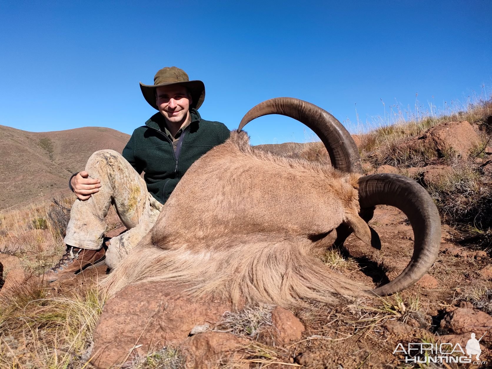 Aoudad Hunting Eastern Cape South Africa | AfricaHunting.com