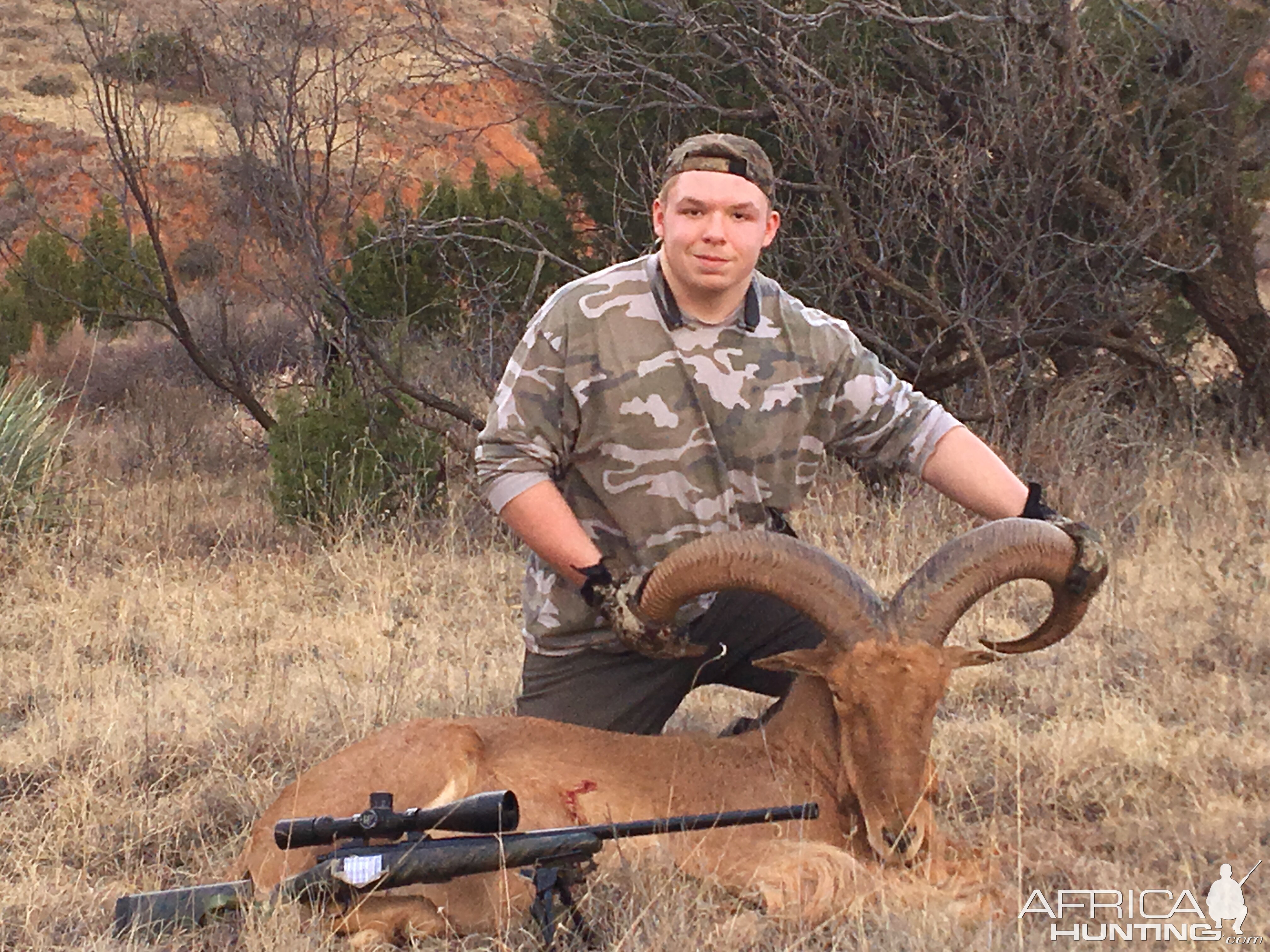 Aoudad Hunting Texas USA