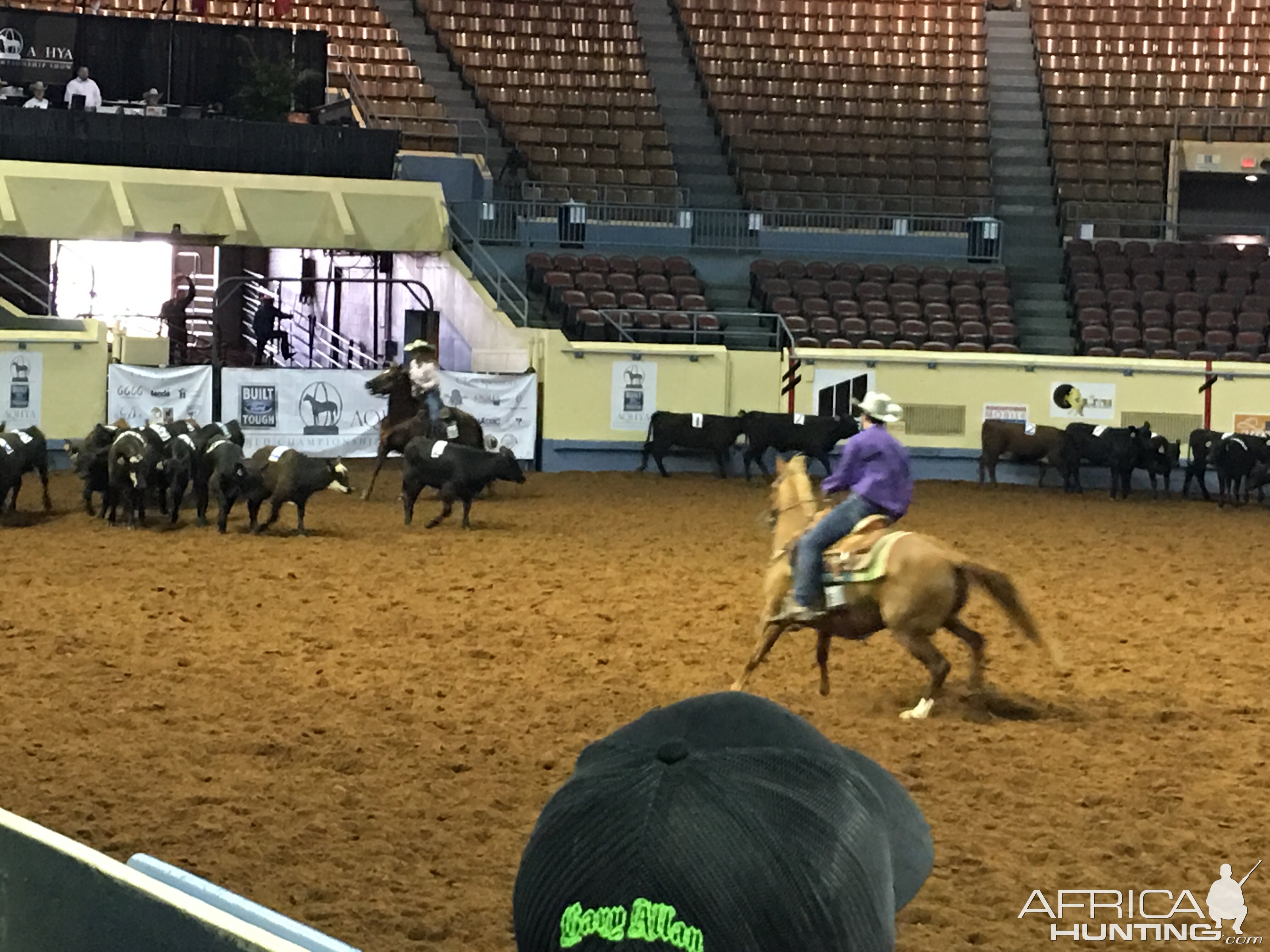 AQHA youth World Finals