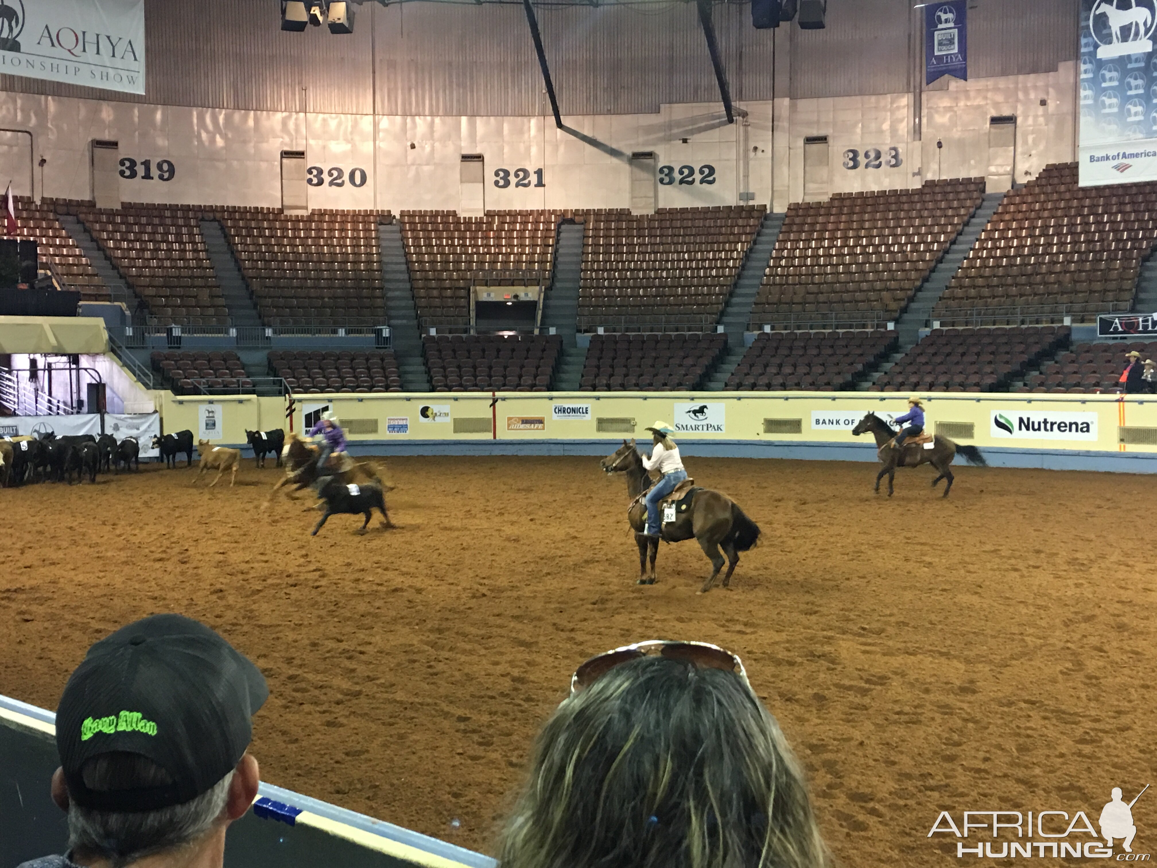 AQHA youth World Finals