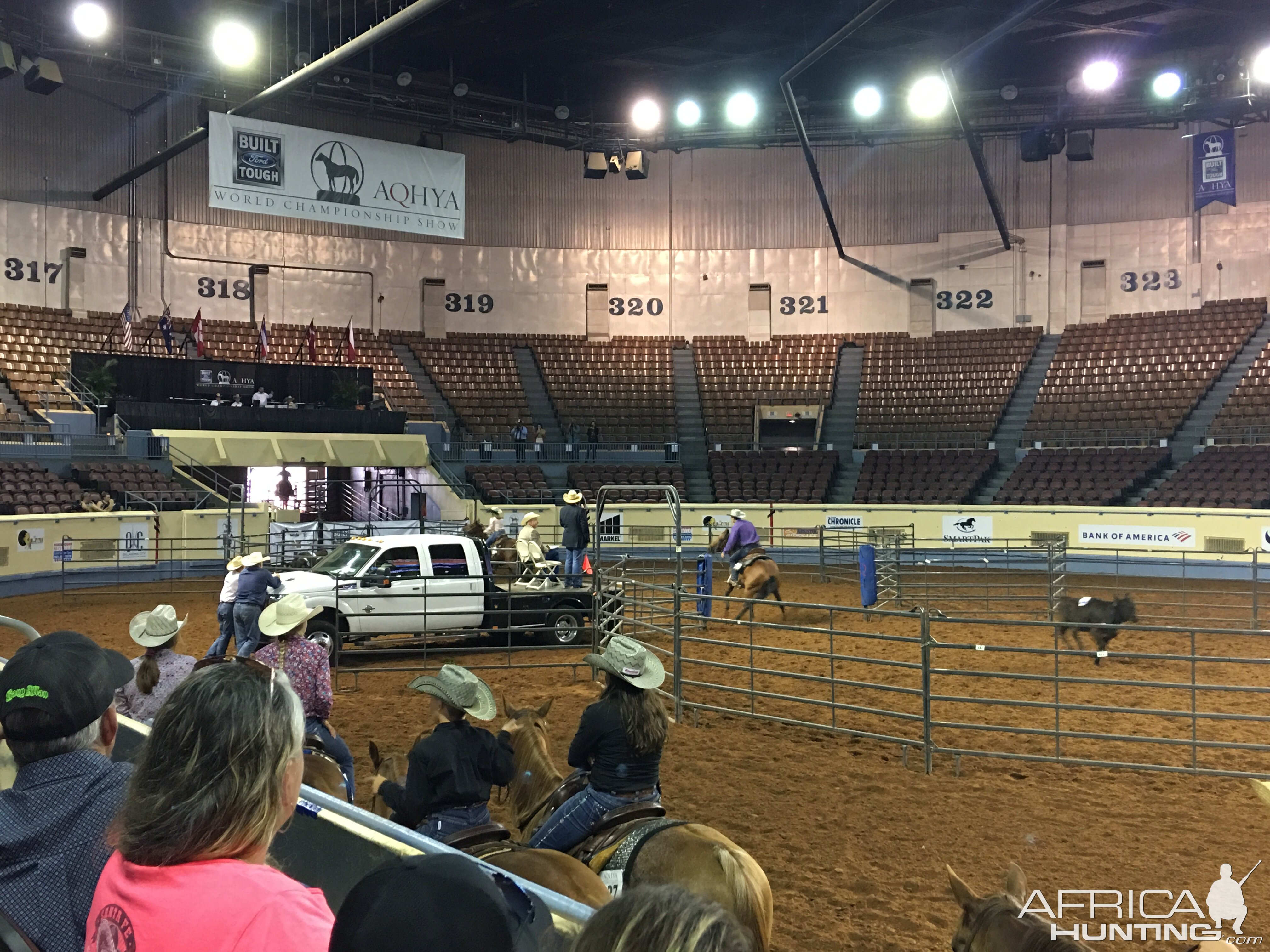 AQHA youth World Finals