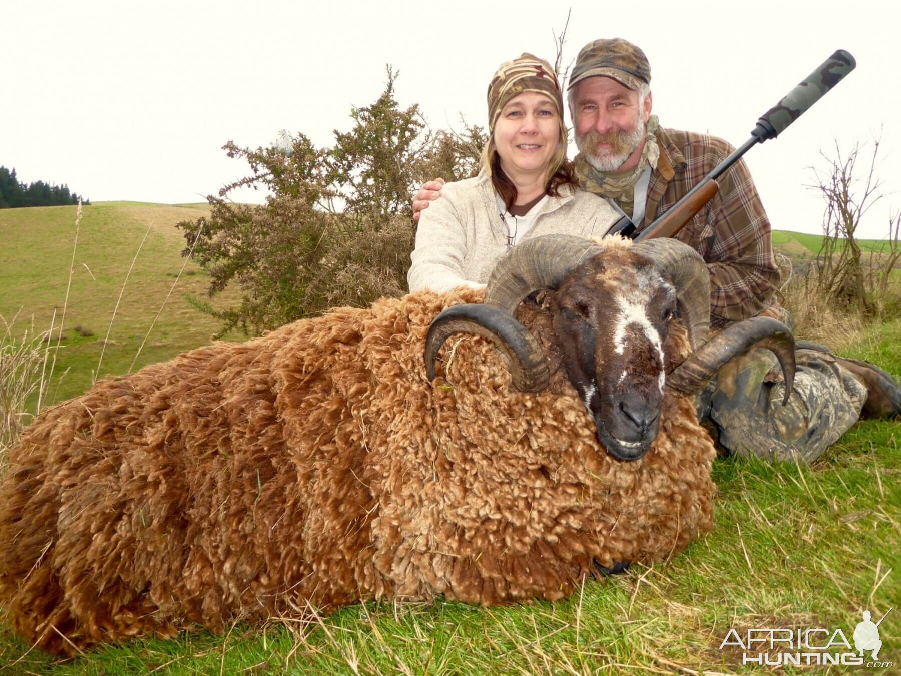 Arapawa Ram Hunting New Zealand