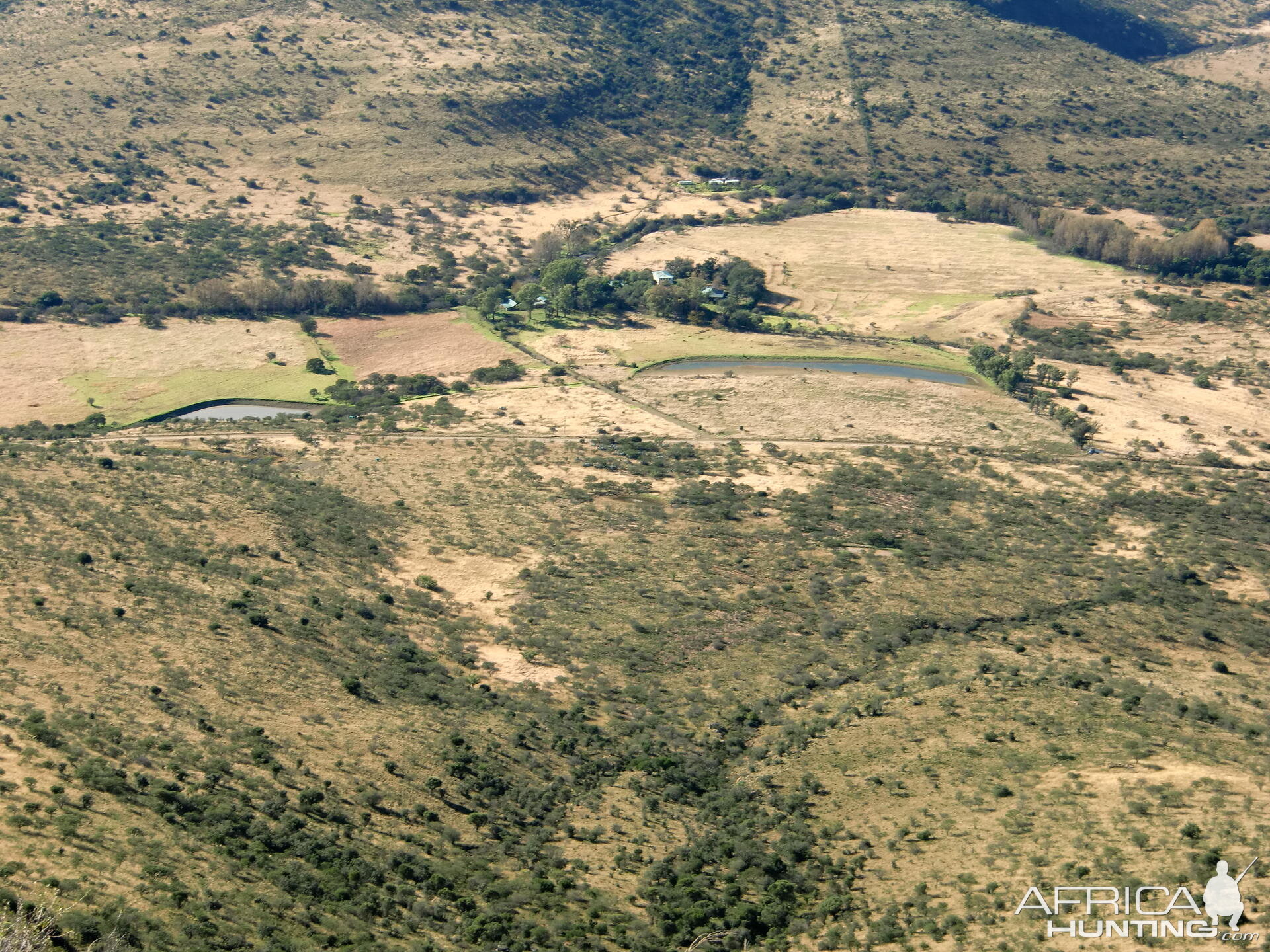 Area we were hunting for Bushbuck