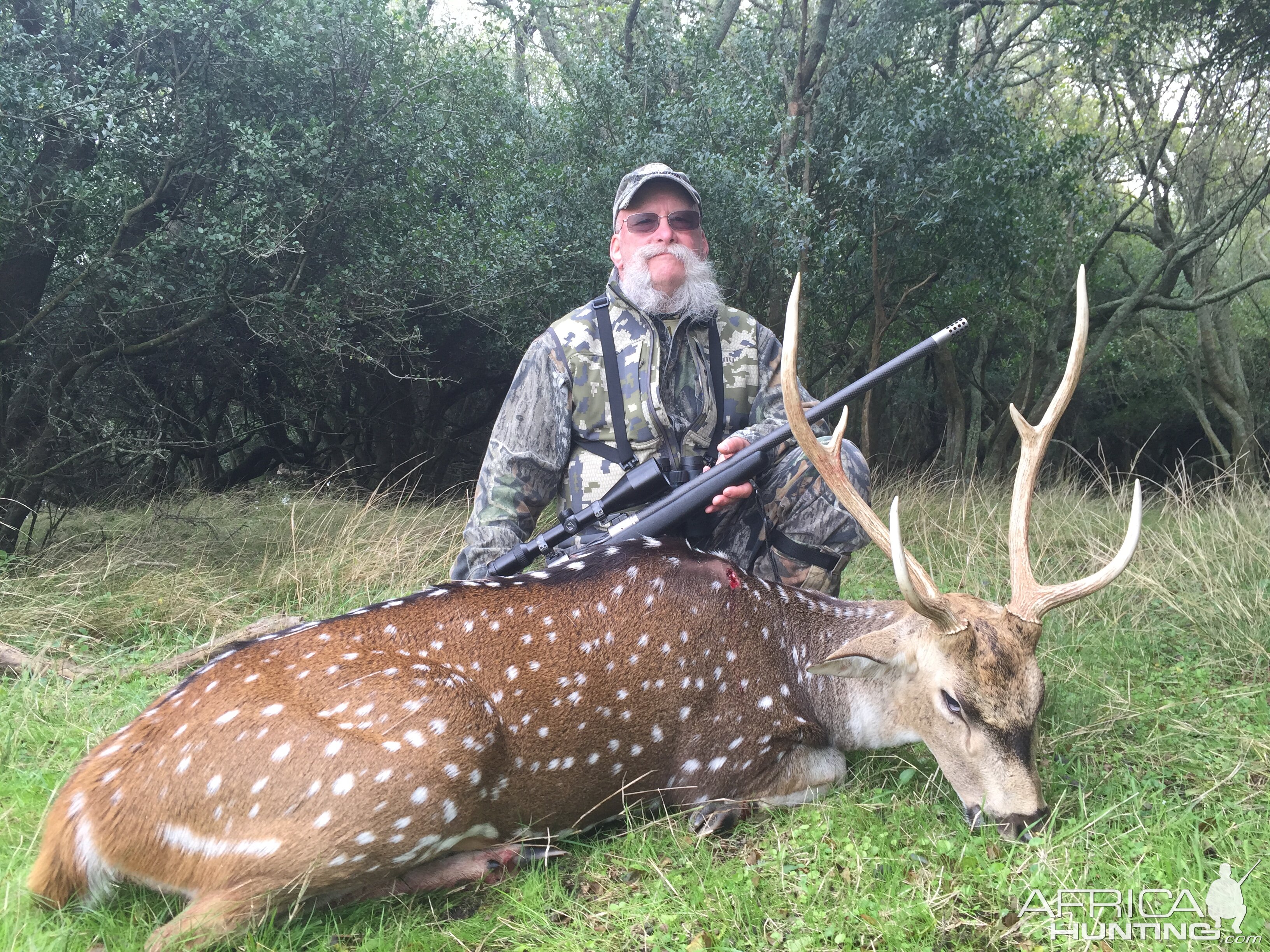 Argentina Hunt Axis Deer