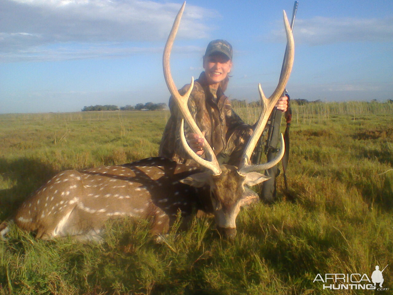 Argentina Hunt Axis Deer