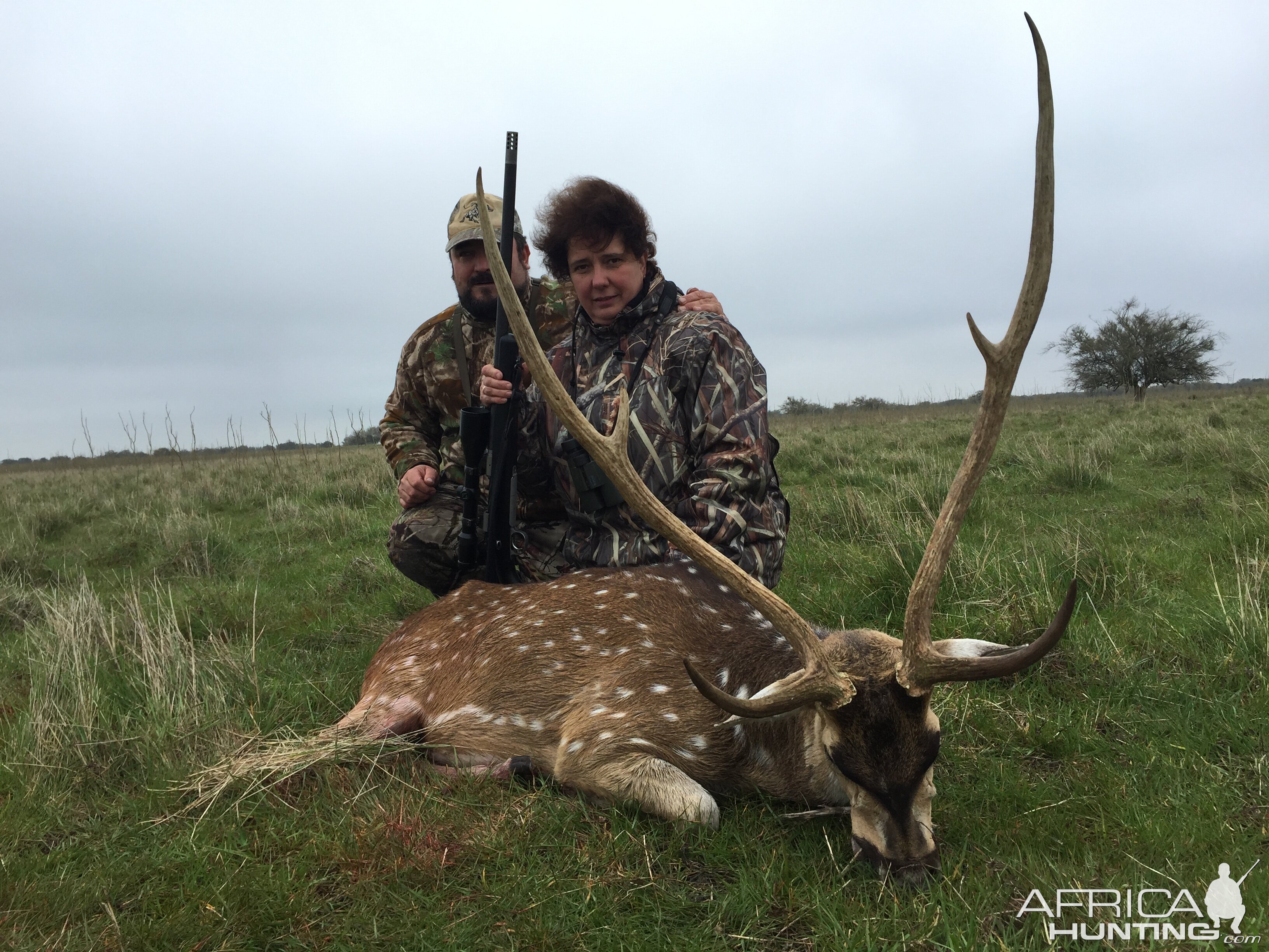 Argentina Hunt Axis Deer