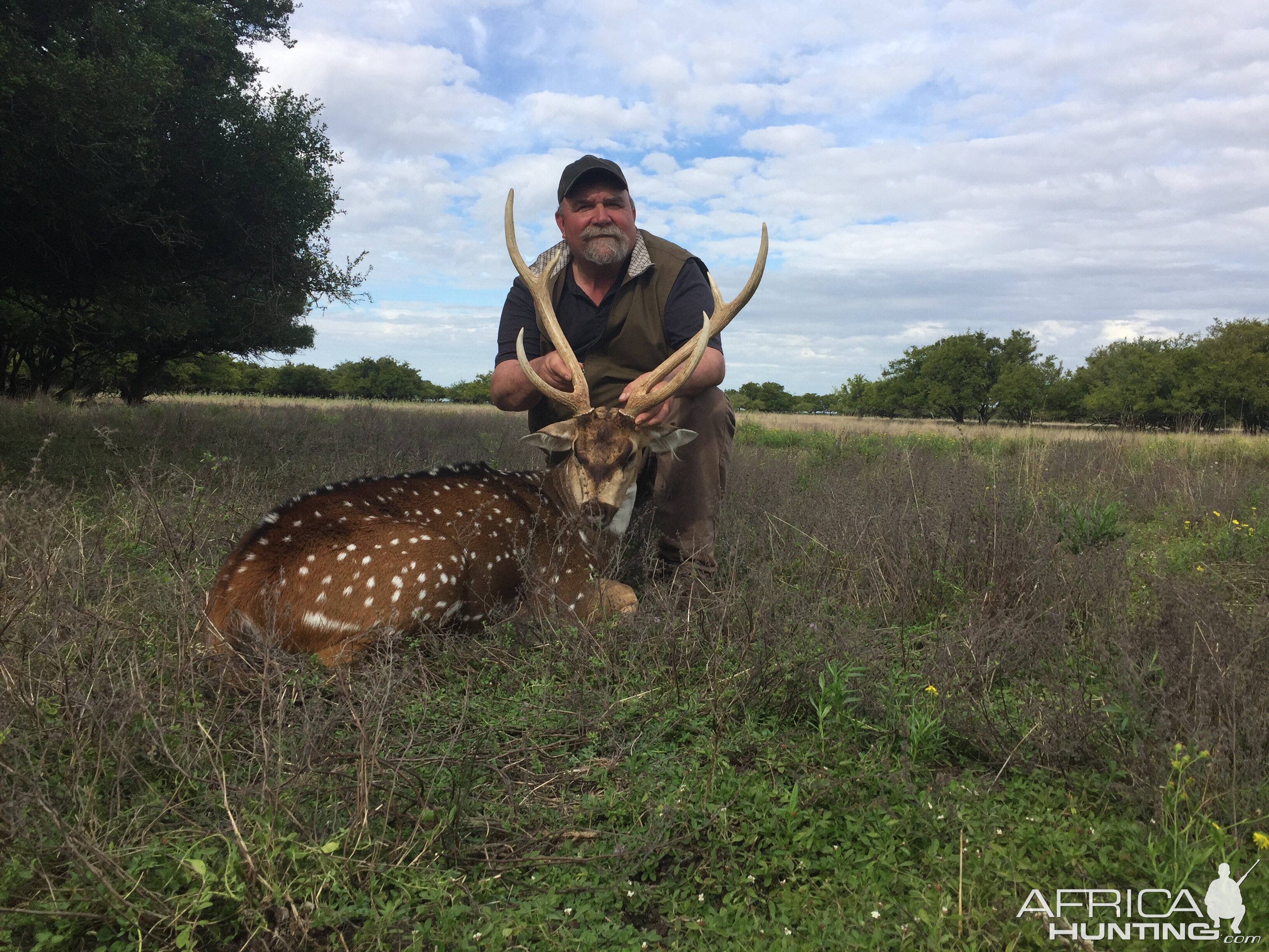 Argentina Hunt Axis Deer