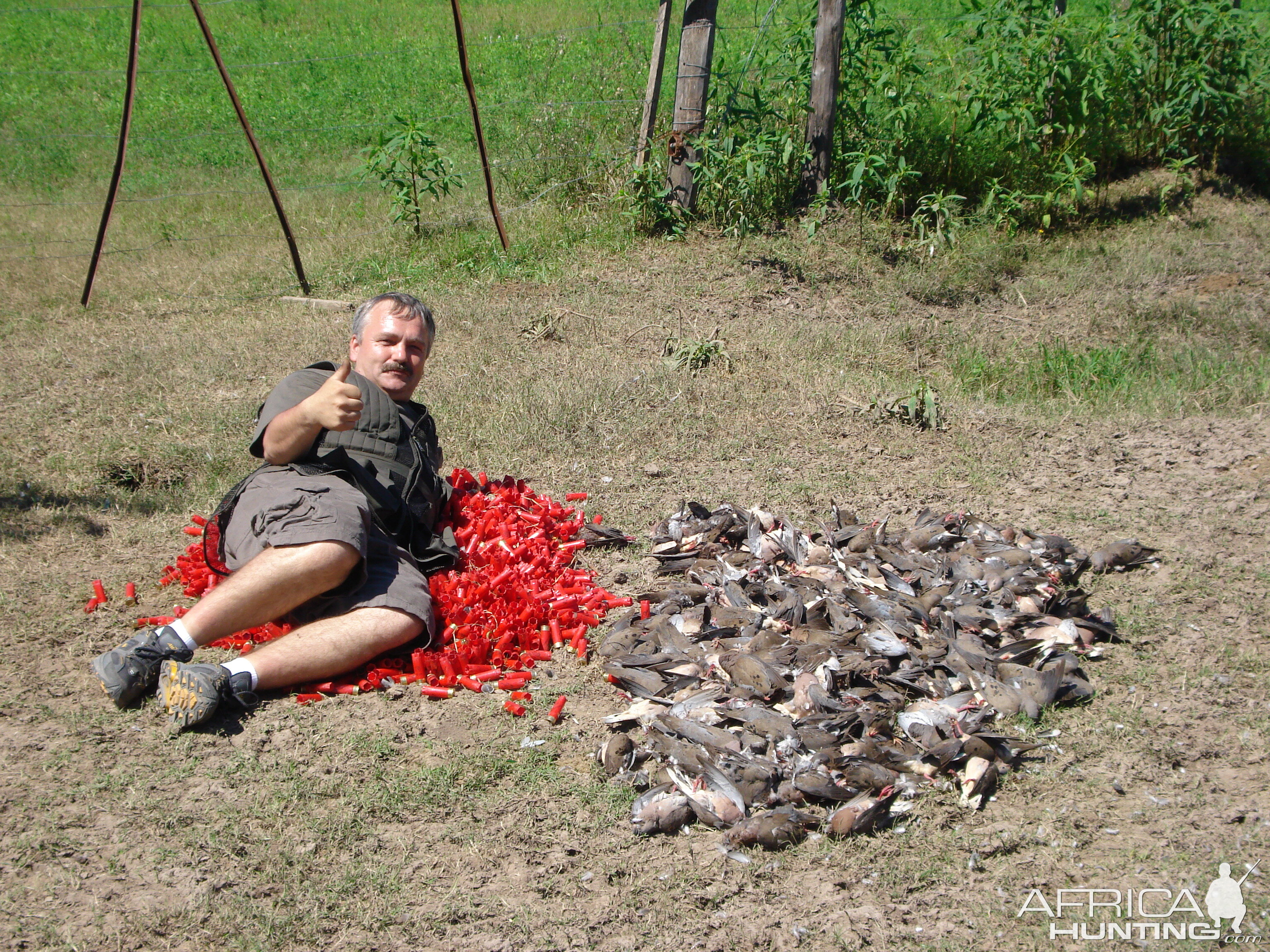 Argentina Hunt Dove