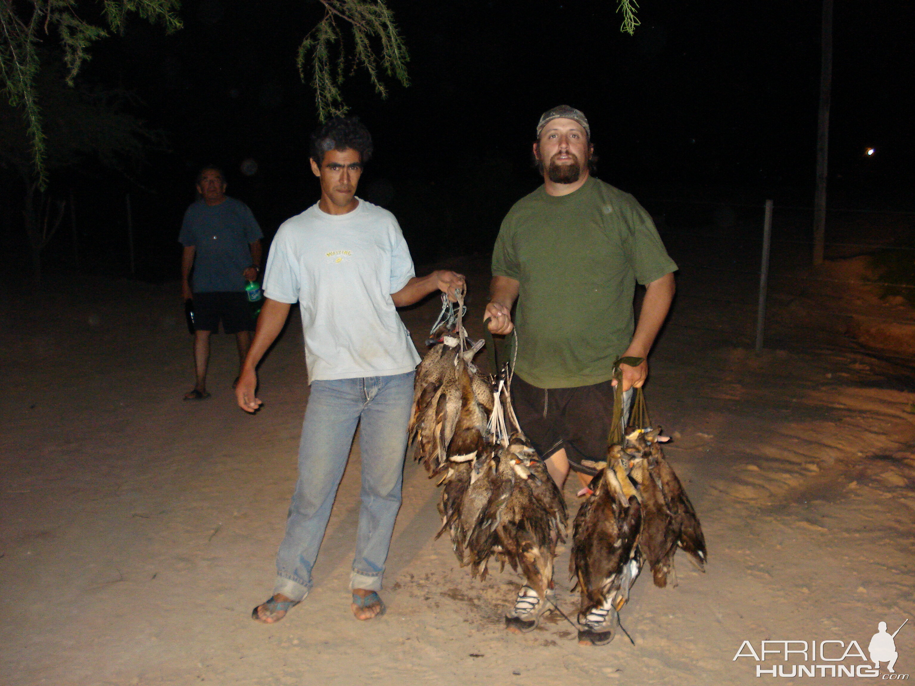 Argentina Hunt Duck