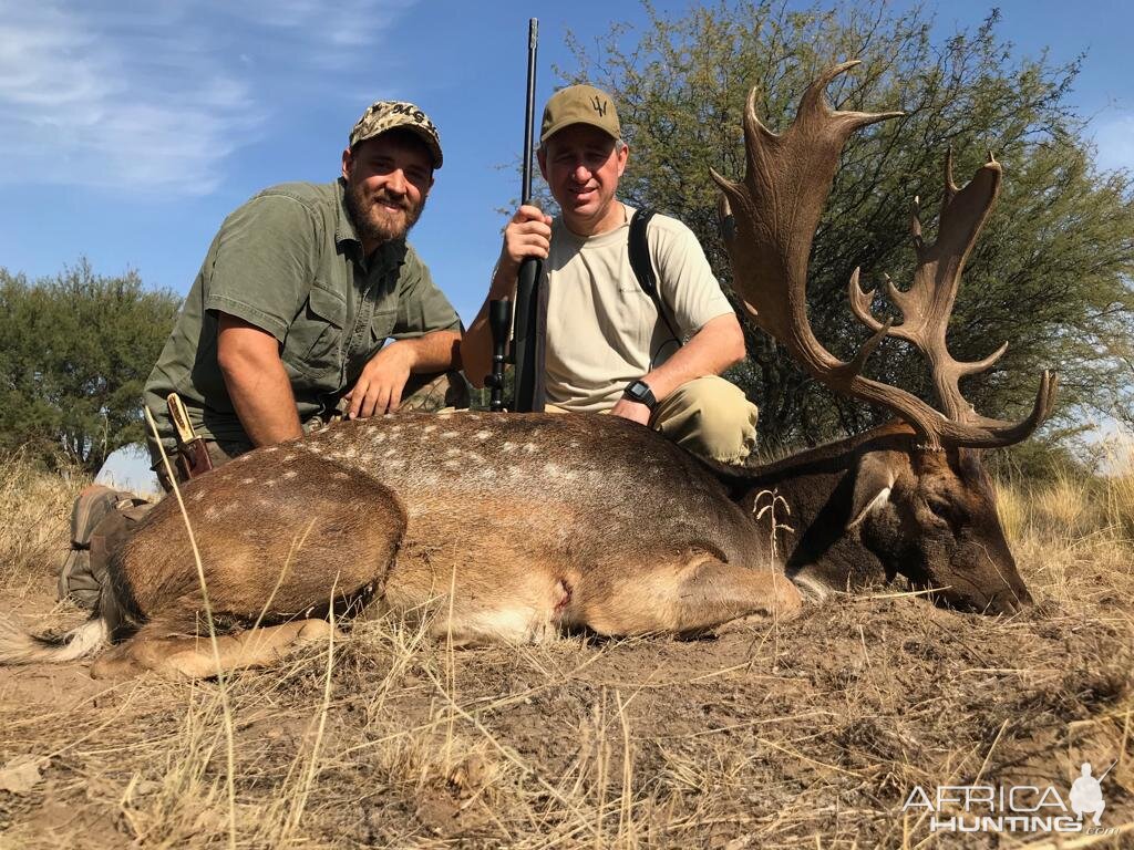 Argentina Hunt Fallow Deer