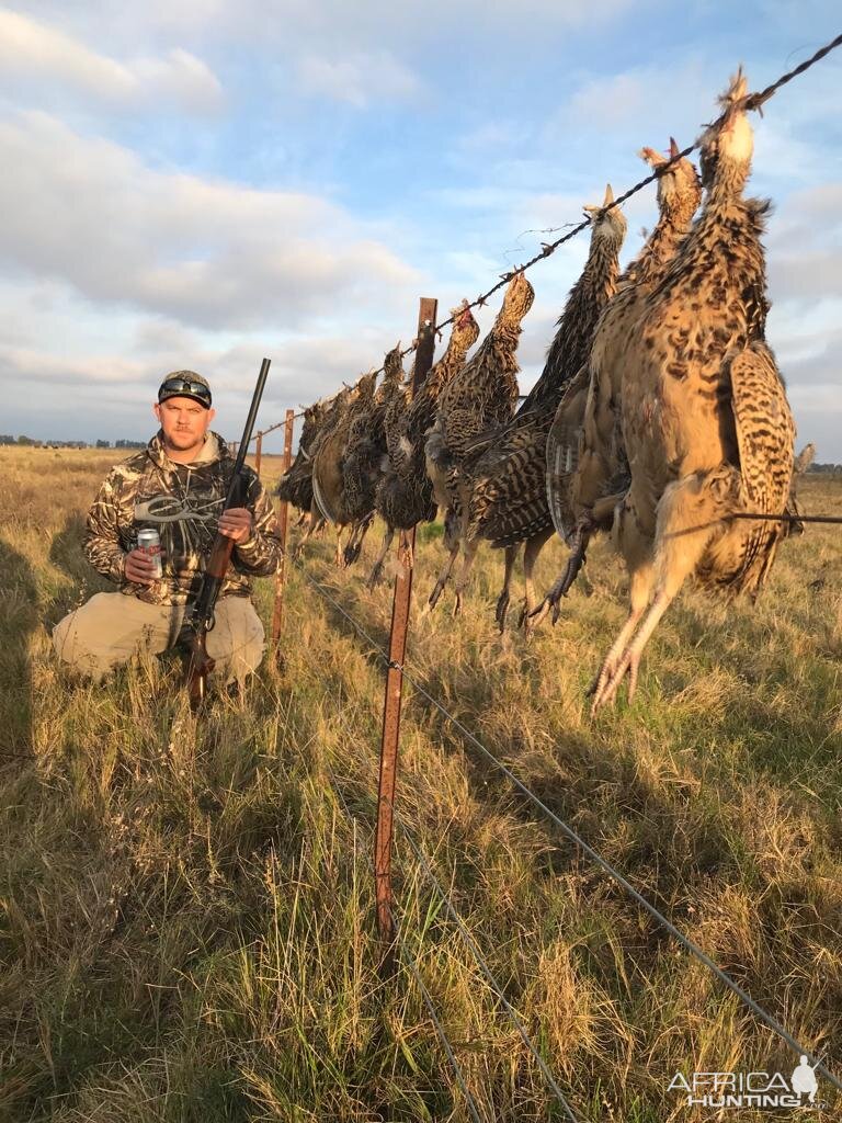 Argentina Hunt Partridge