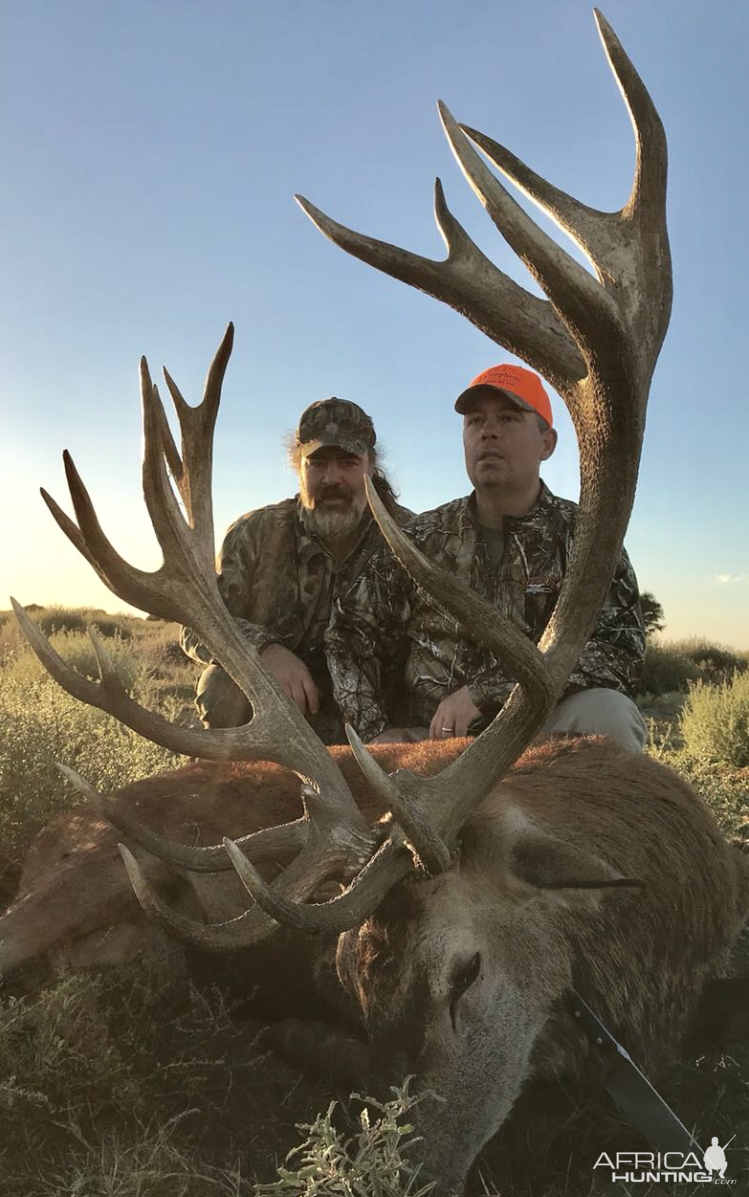 Argentina Hunt Red Stag