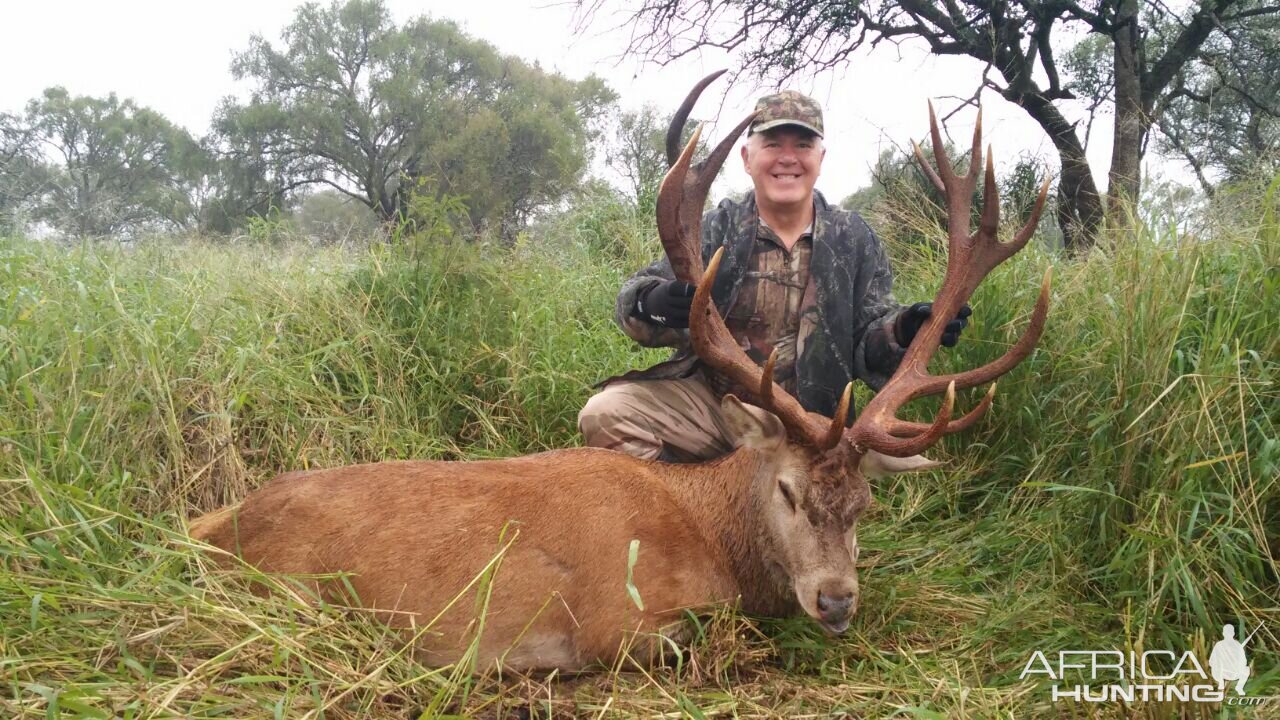 Argentina Hunt Red Stag