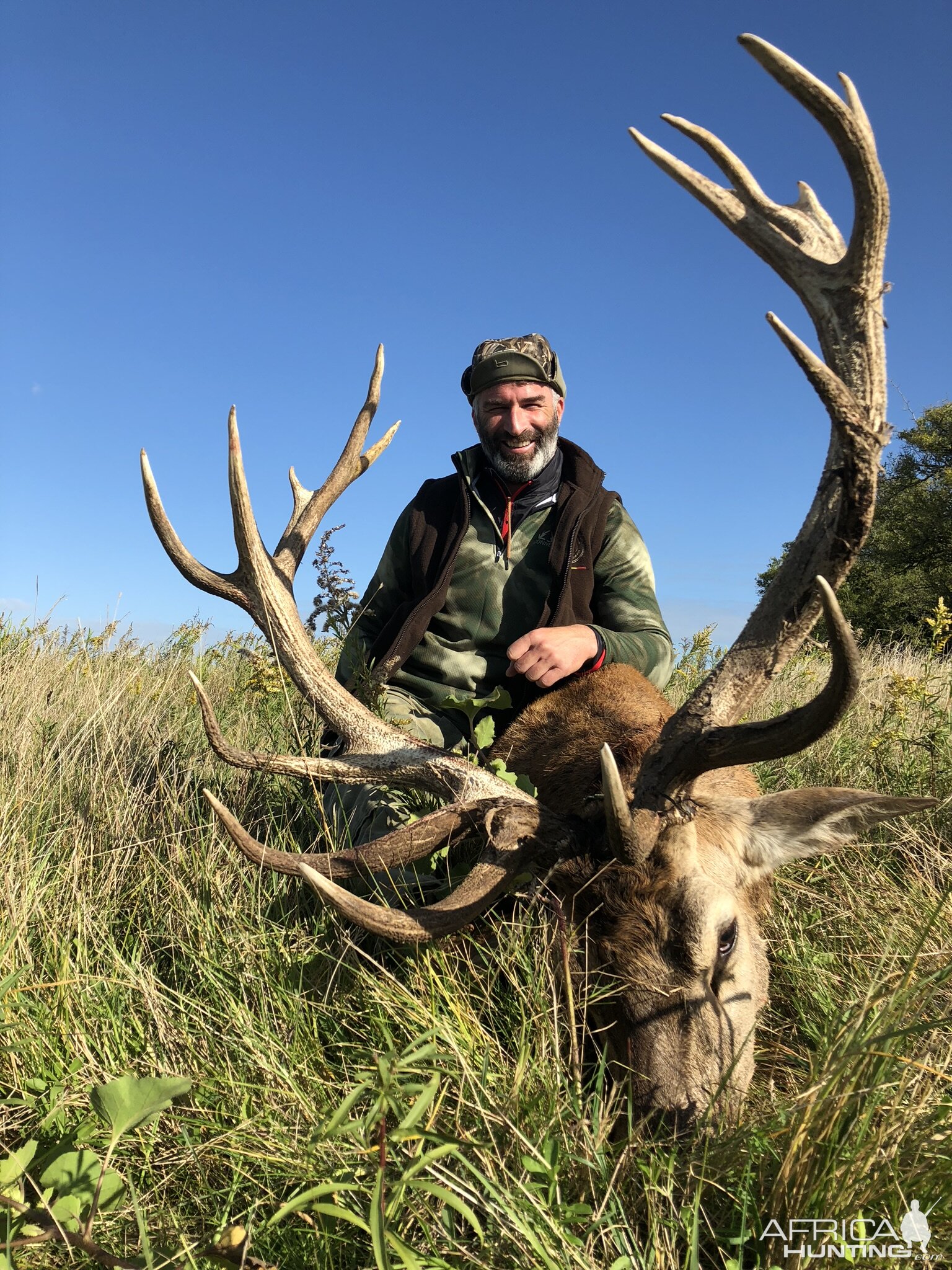 Argentina Hunt Red Stag