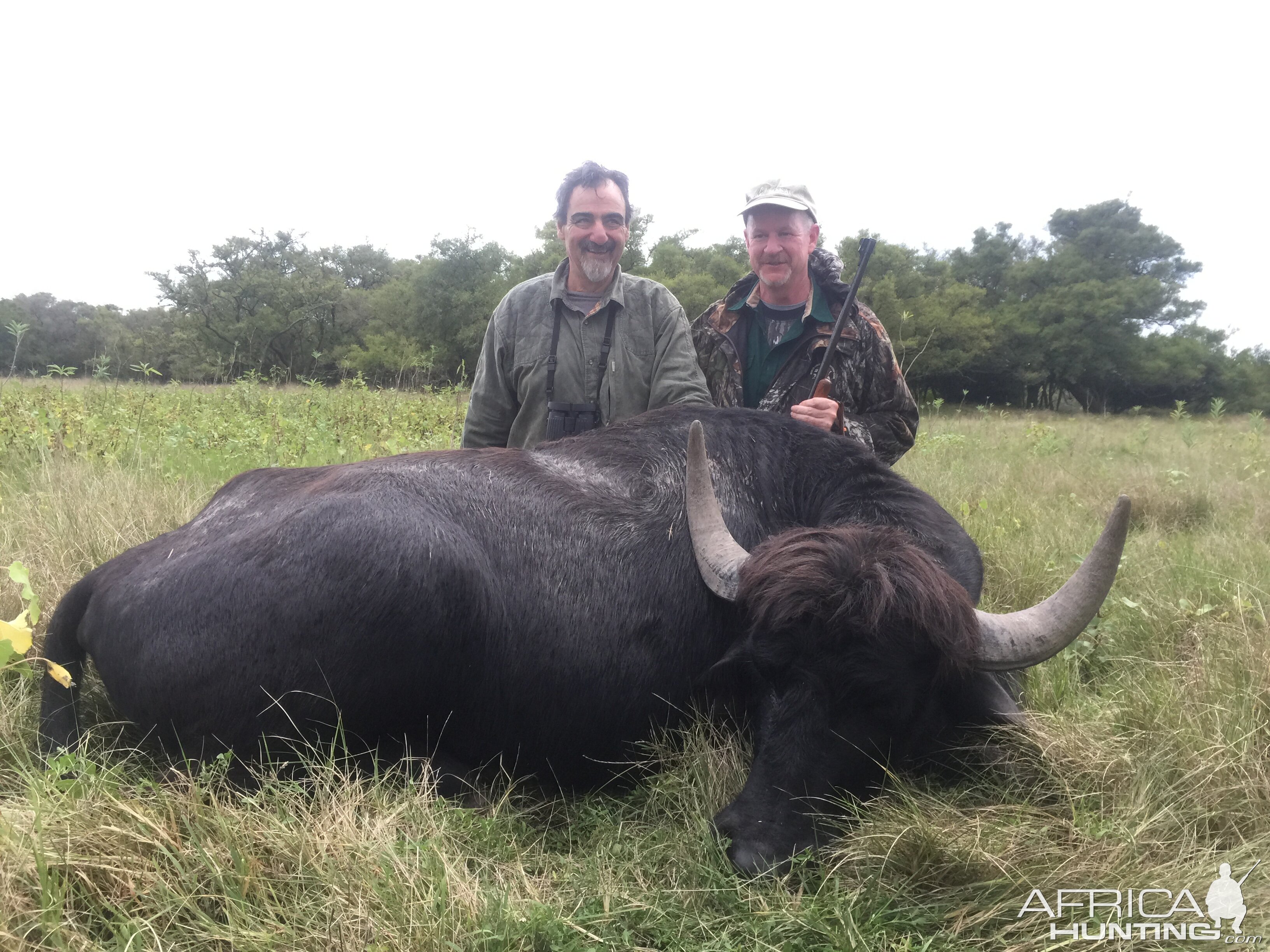 Argentina Hunt Water Buffalo