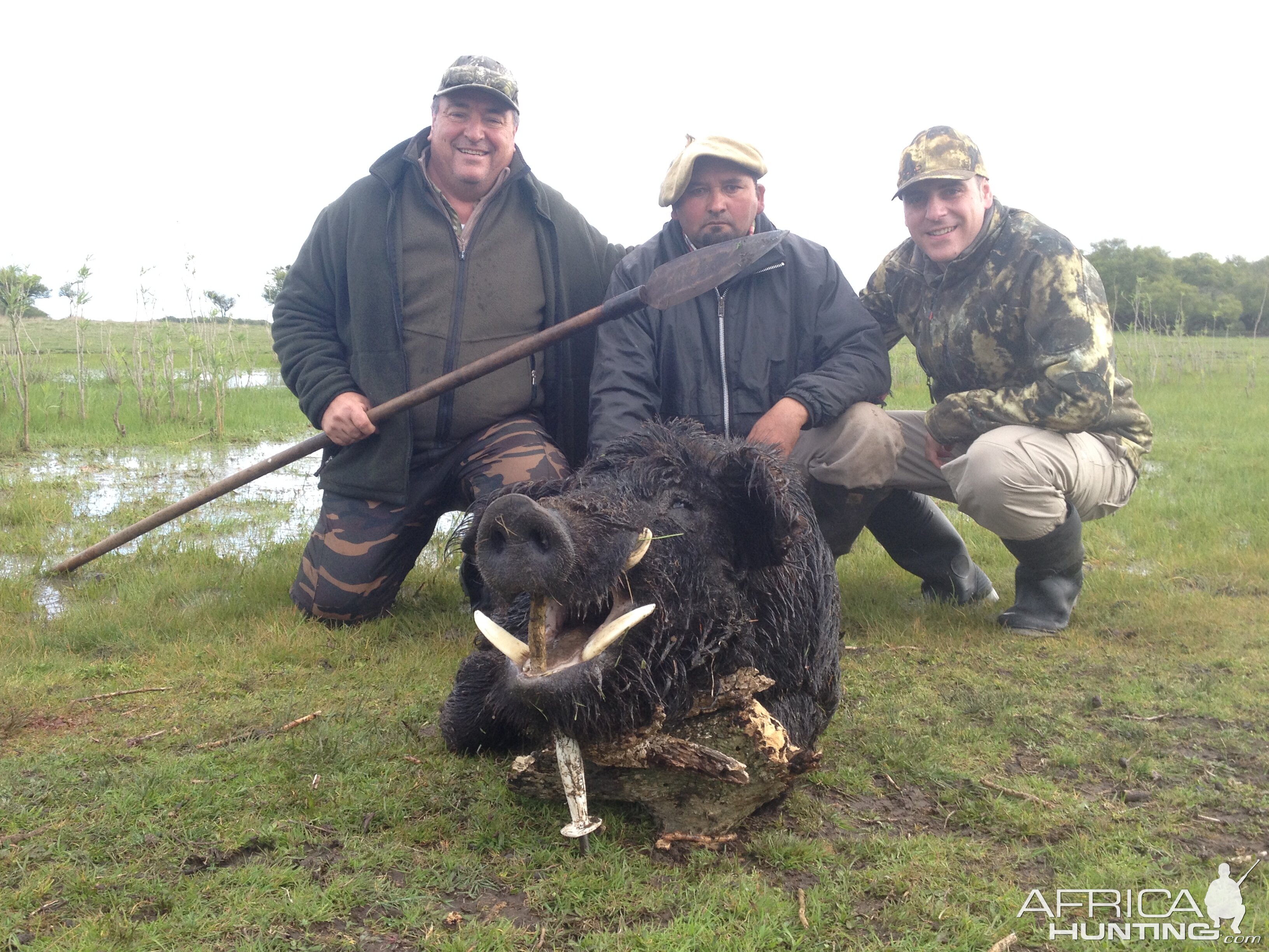 Argentina Hunt Wild Boar