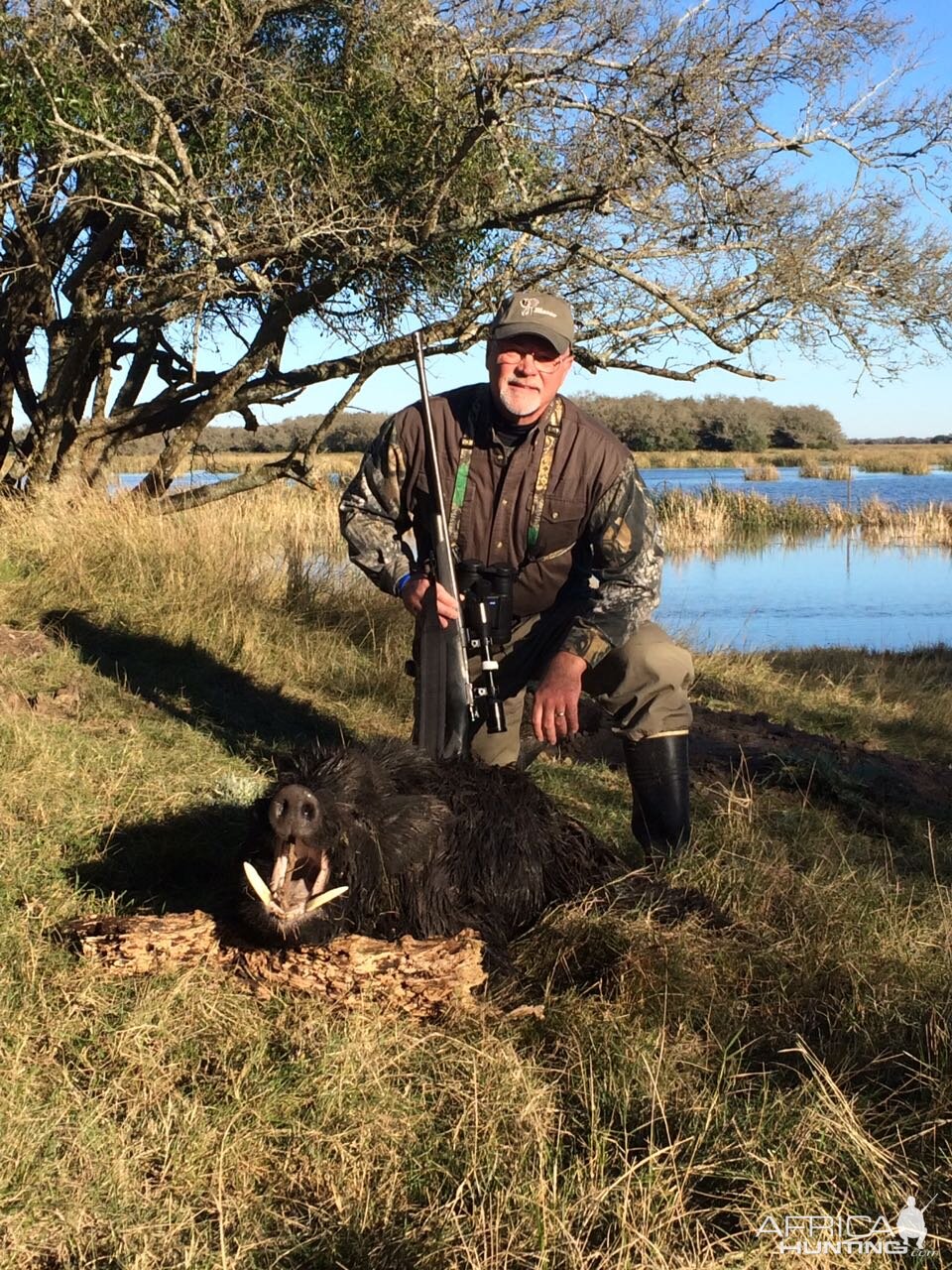 Argentina Hunt Wild Boar