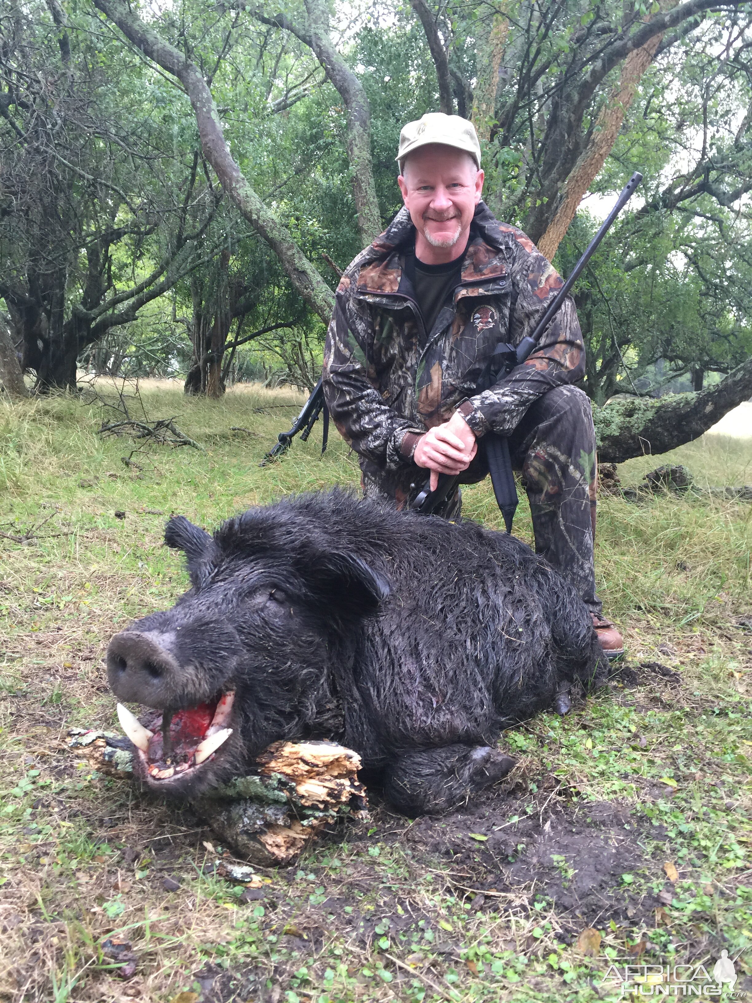 Argentina Hunt Wild Boar