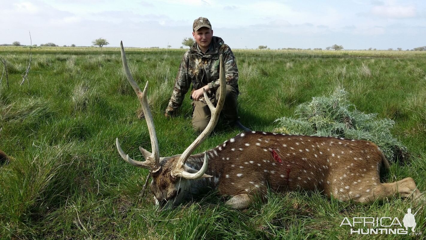 Argentina Hunting Axis Deer