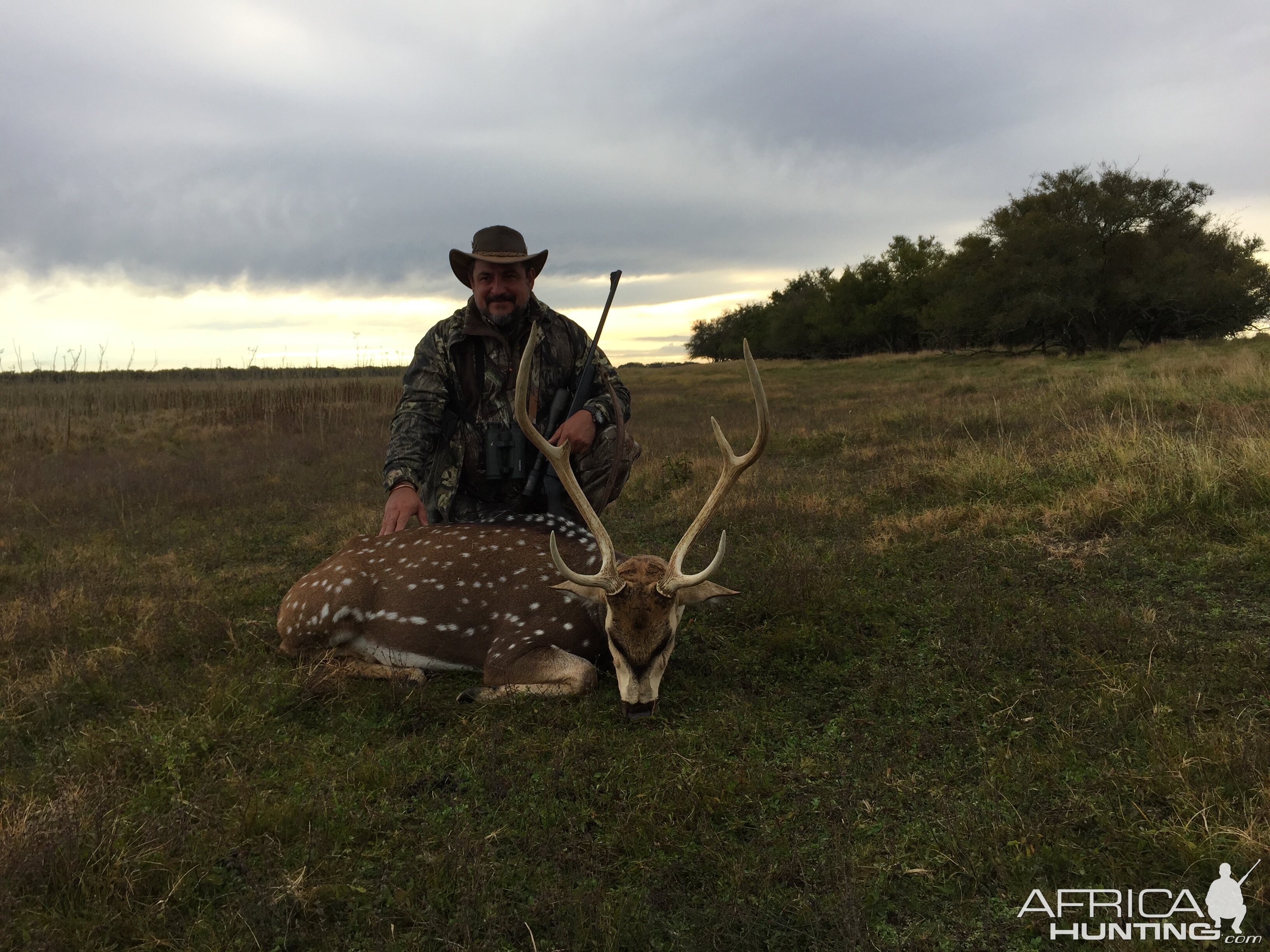 Argentina Hunting Axis Deer