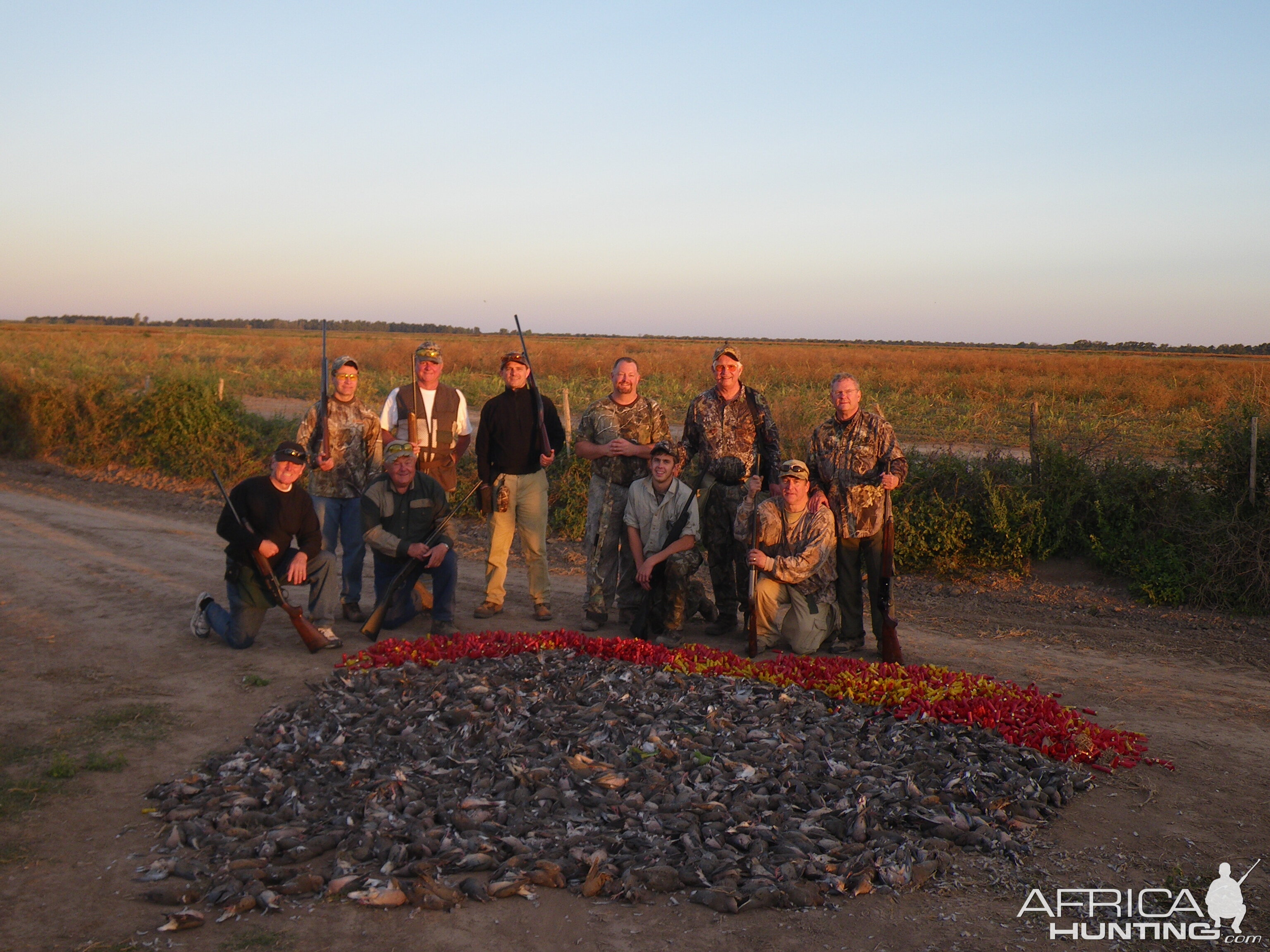 Argentina Hunting Dove