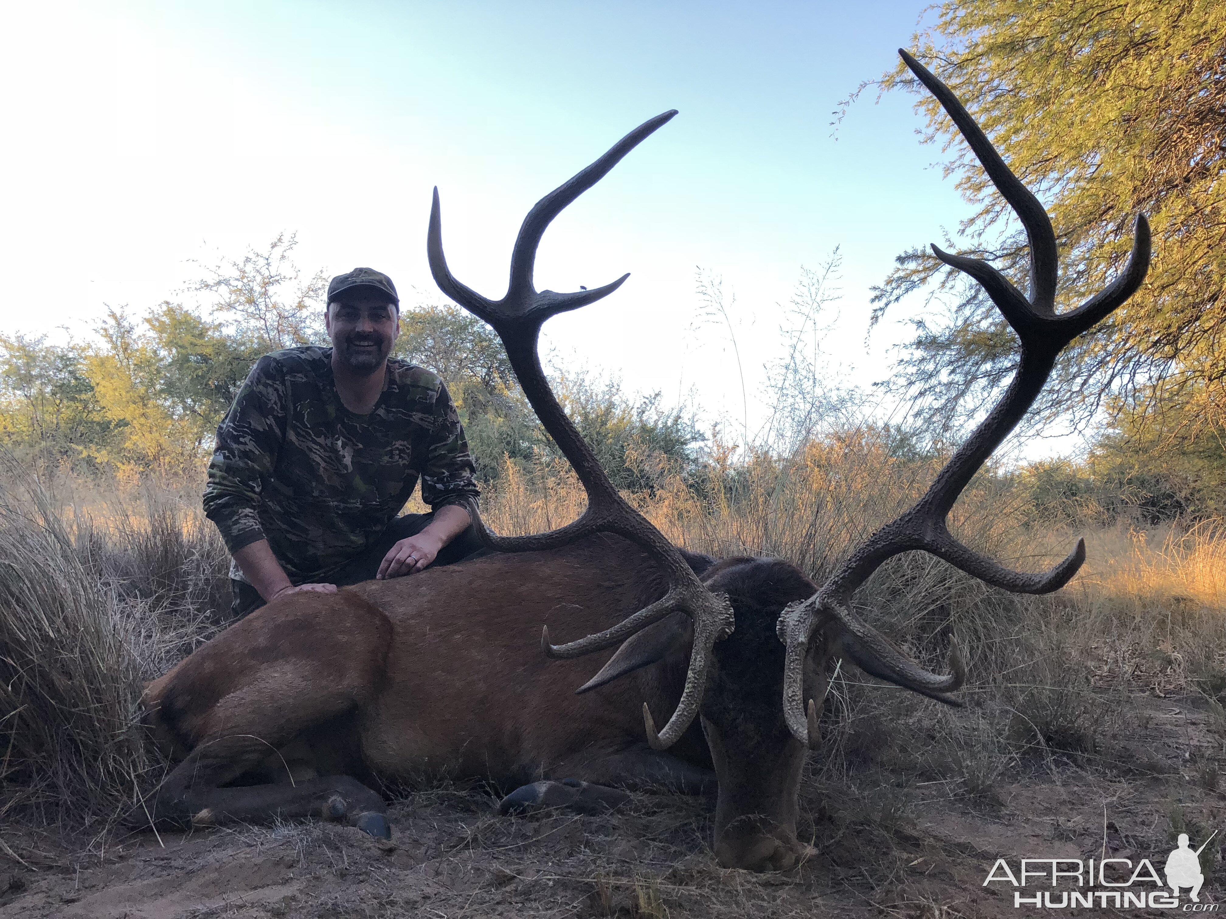 Argentina Hunting Red Stag