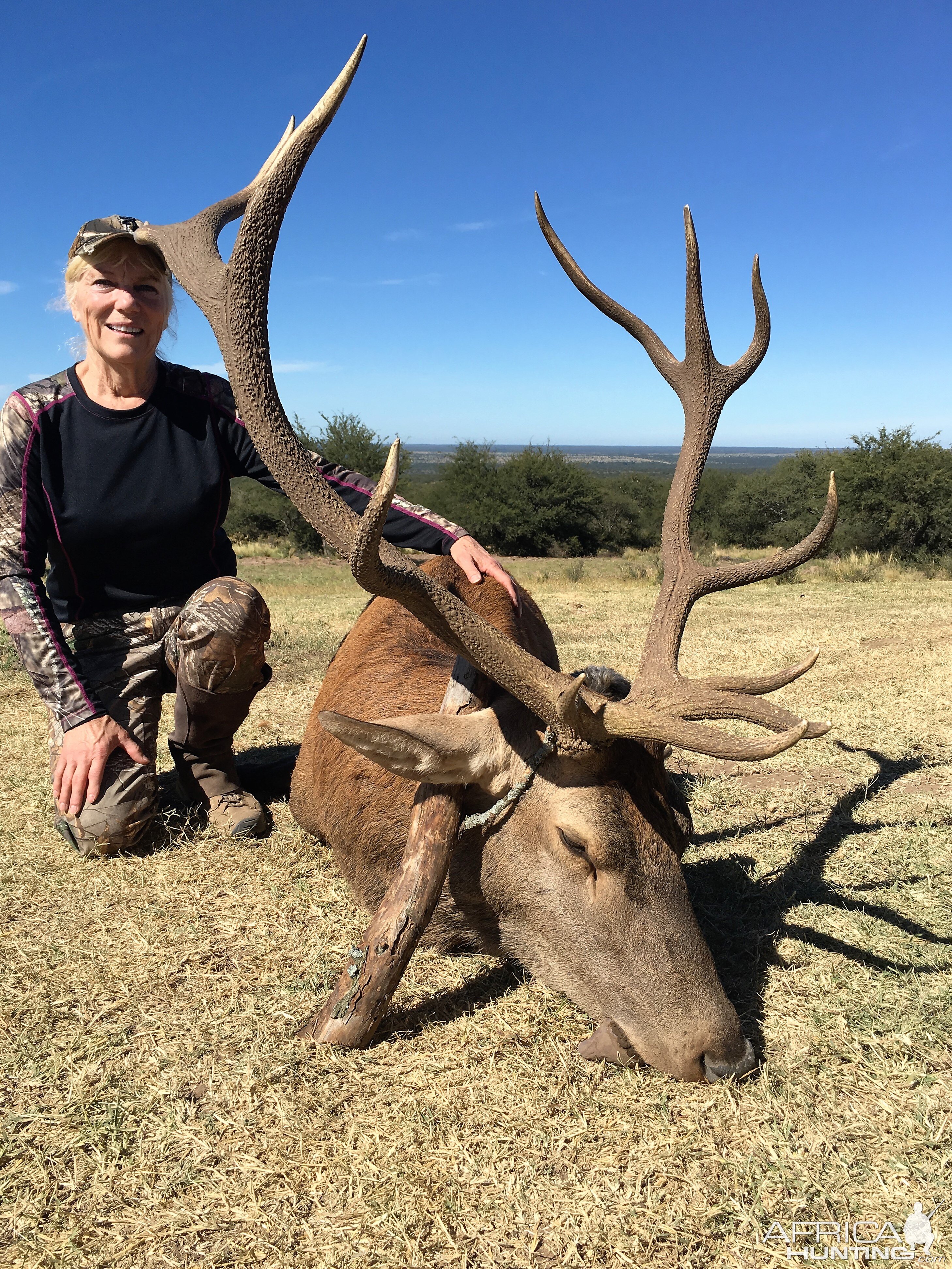 Argentina Hunting Red Stag