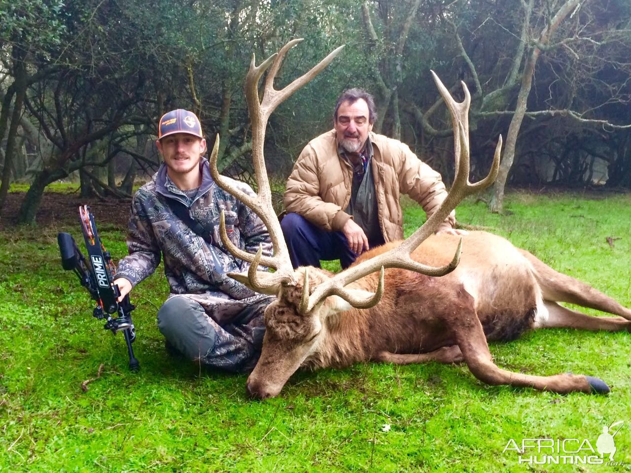 Argentina Hunting Red Stag